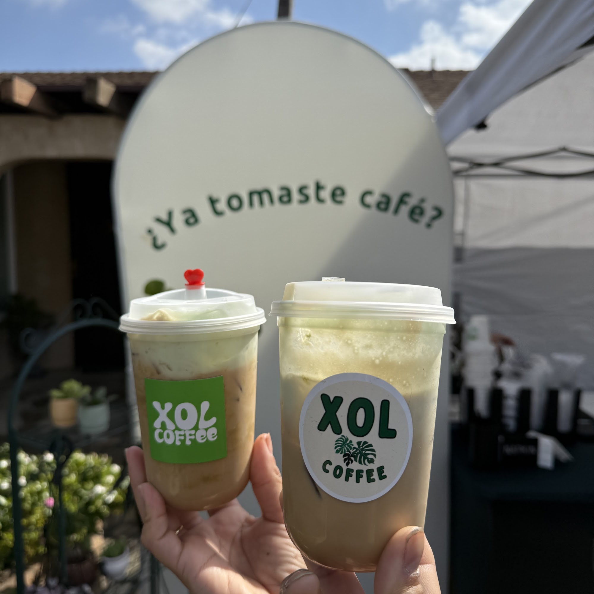 Xol Coffee Fontana