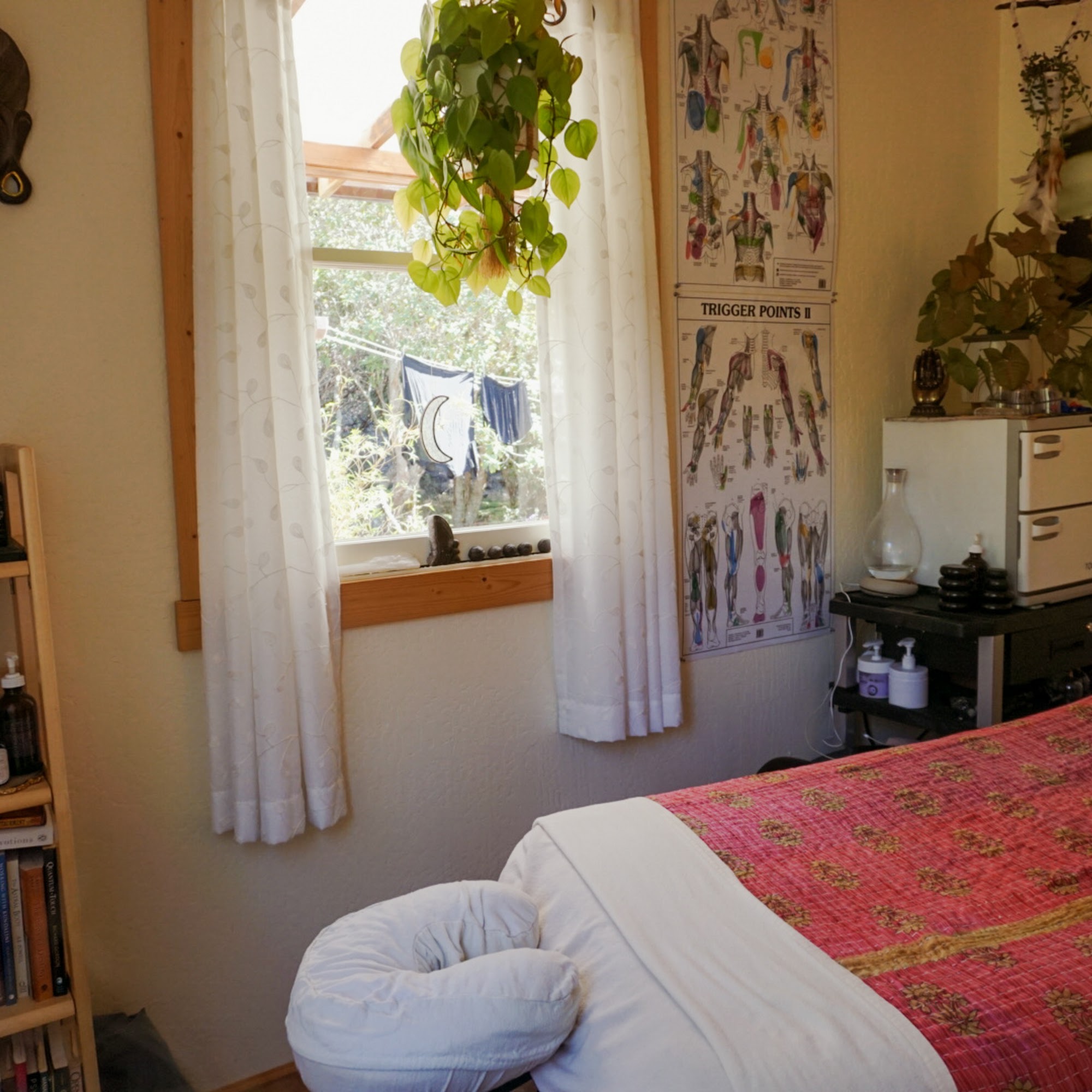 Deep Roots Healing Arts 31130 Turner Rd, Fort Bragg California 95437
