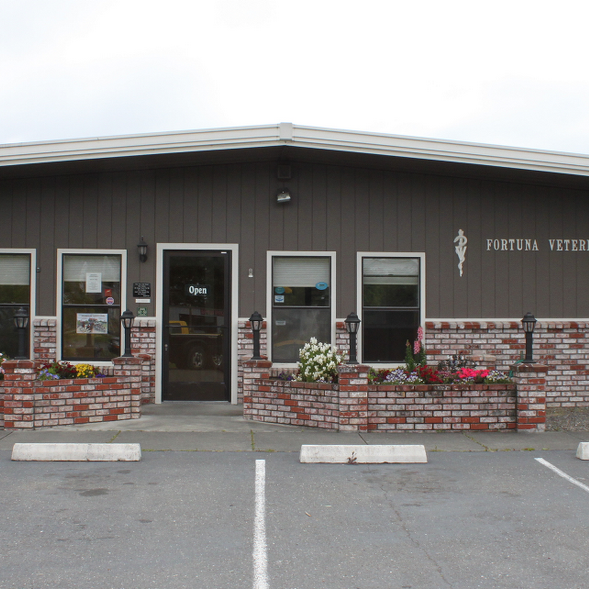 Humboldt Veterinary Group - Fortuna Fortuna