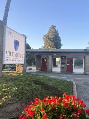 Mile Square Animal Hospital Fountain Valley