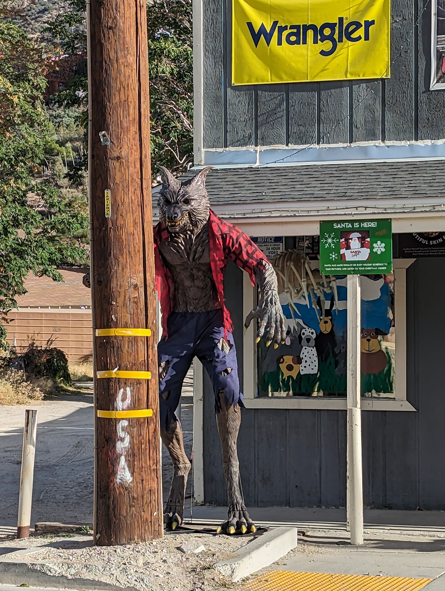 $ Beale Feed & Pet Store Frazier Park