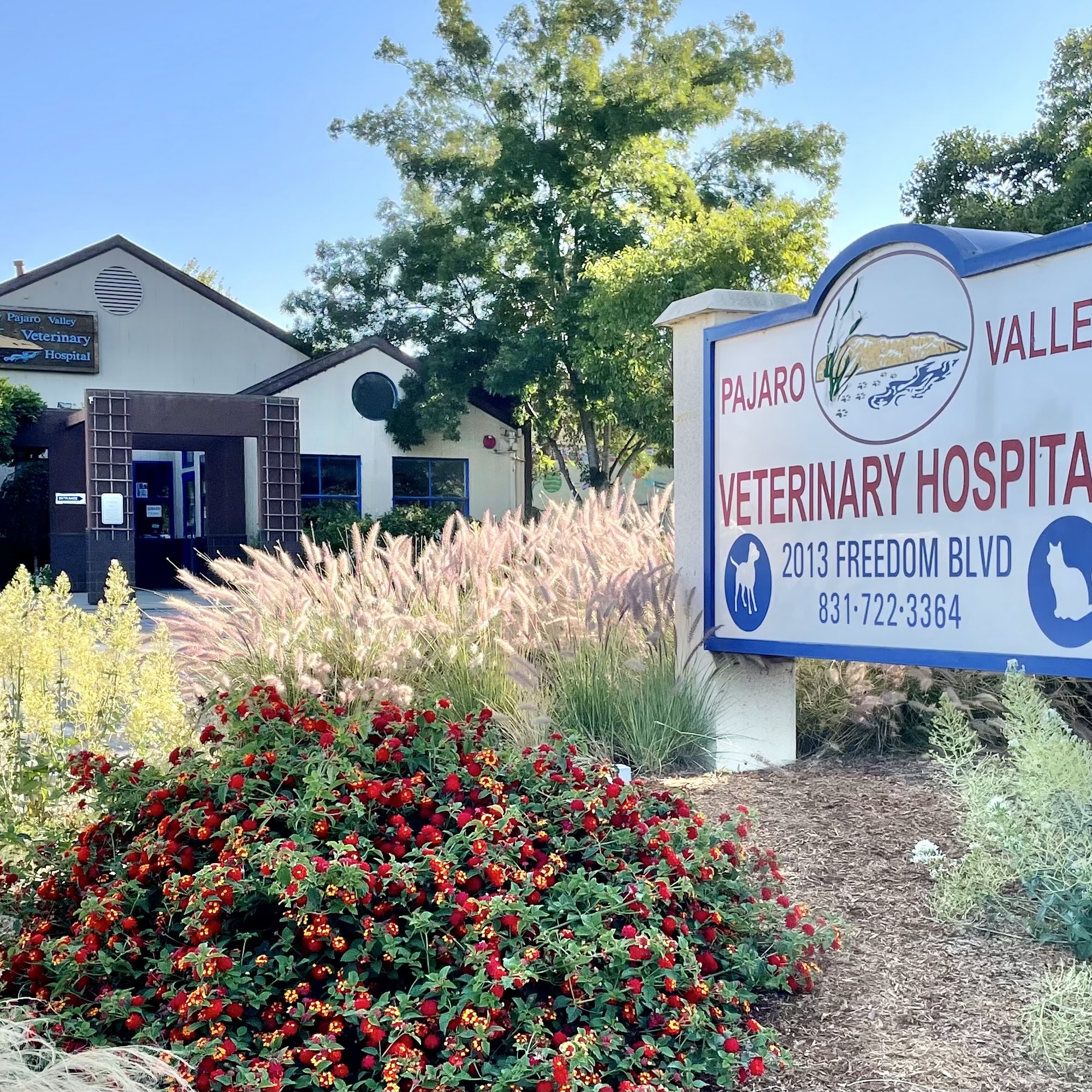 Pajaro Valley Veterinary Hospital Freedom