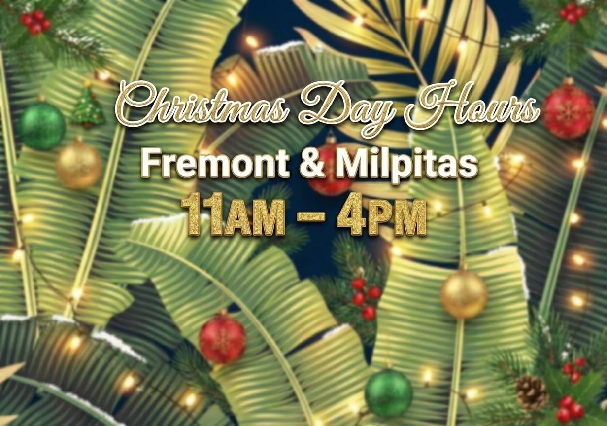 RĀW Superfood Café | Fremont Fremont