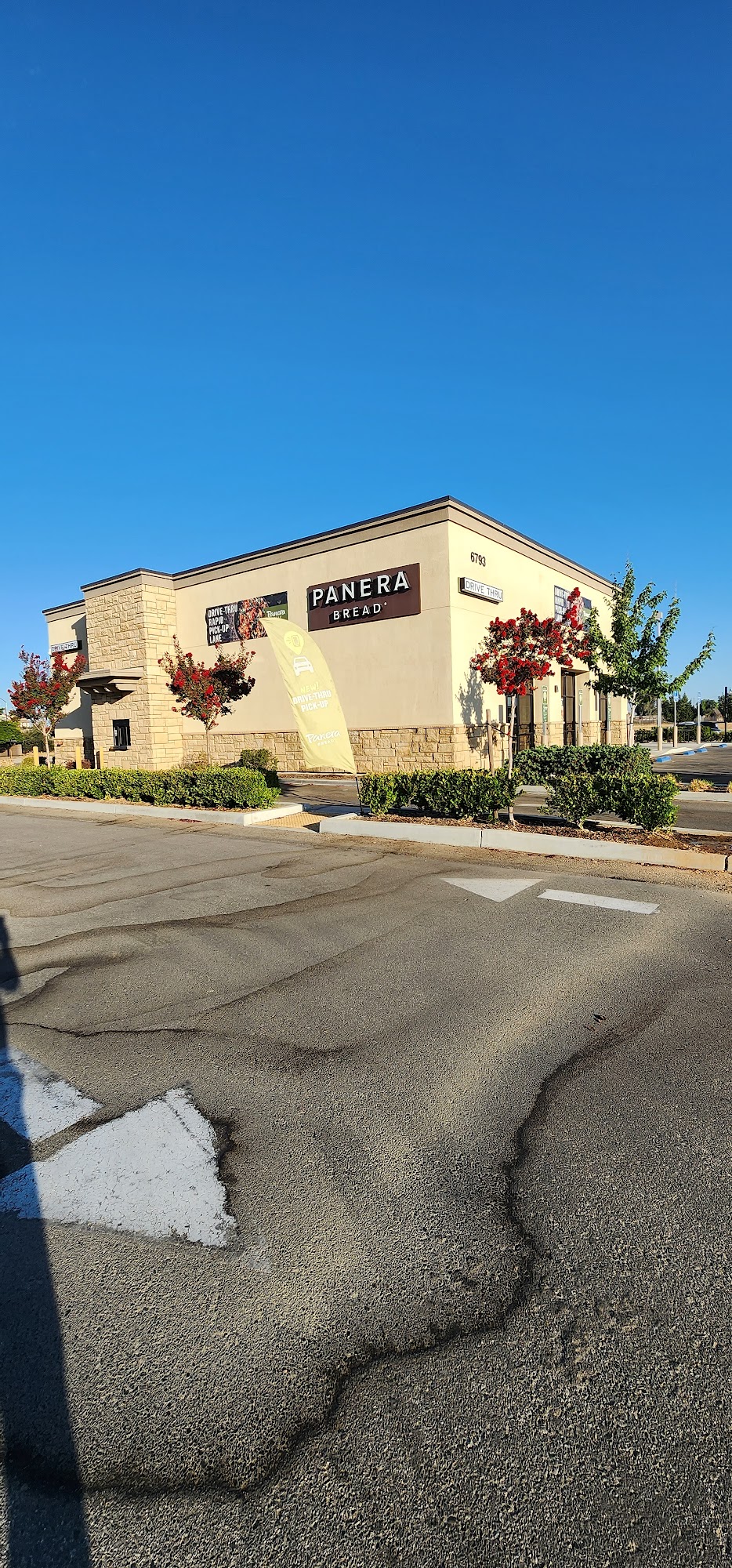Panera Bread