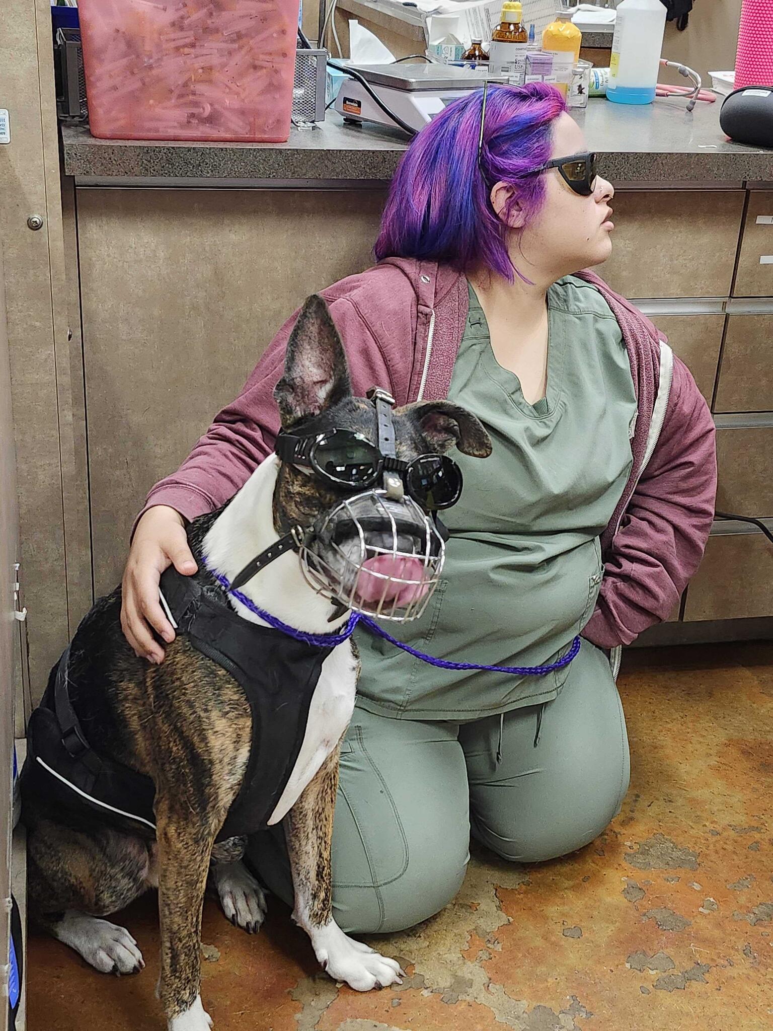 Pet Medical Center & Spa Fresno