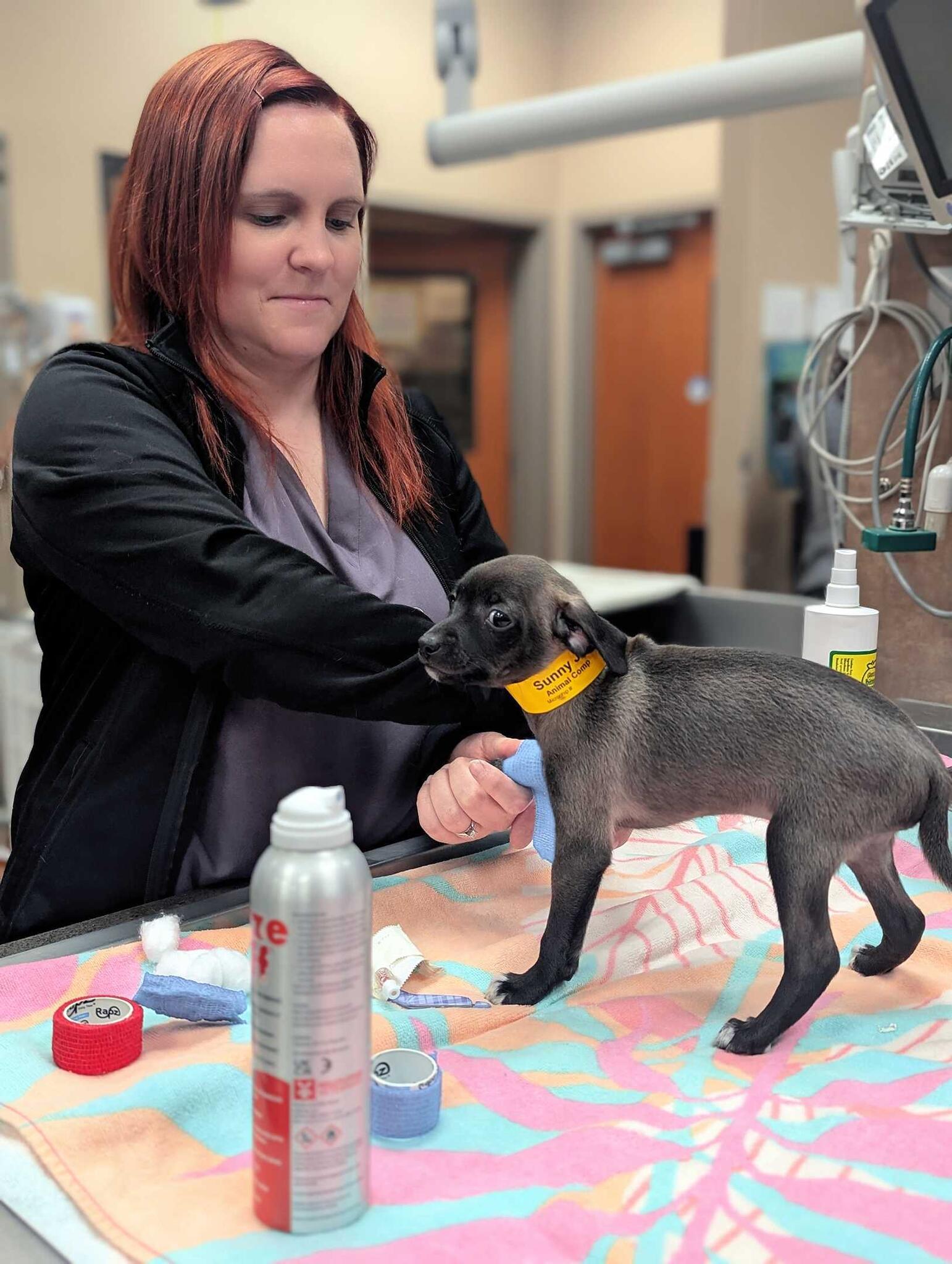 Pet Medical Center & Spa Fresno