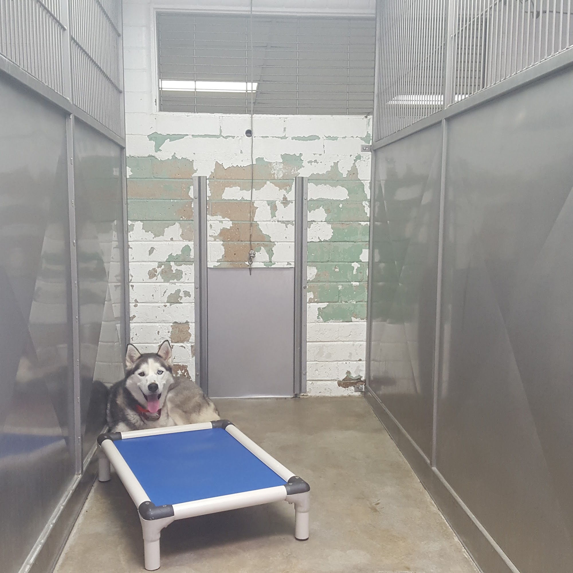 Central California SPCA Fresno