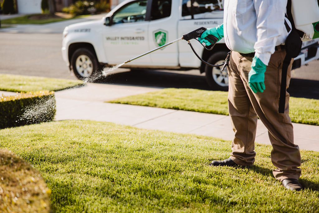 Photo credit: bestprosintown