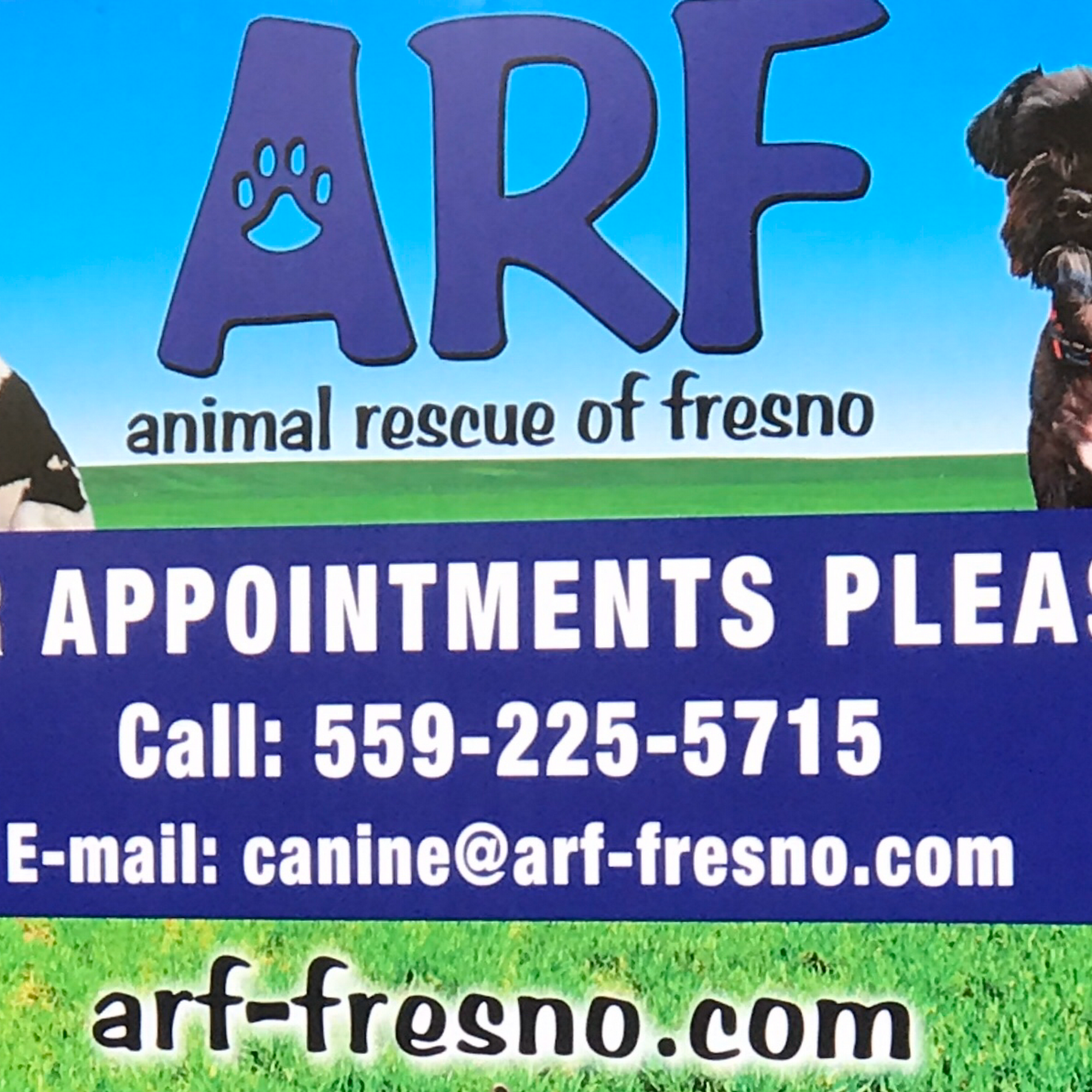 Animal Rescue of Fresno Fresno