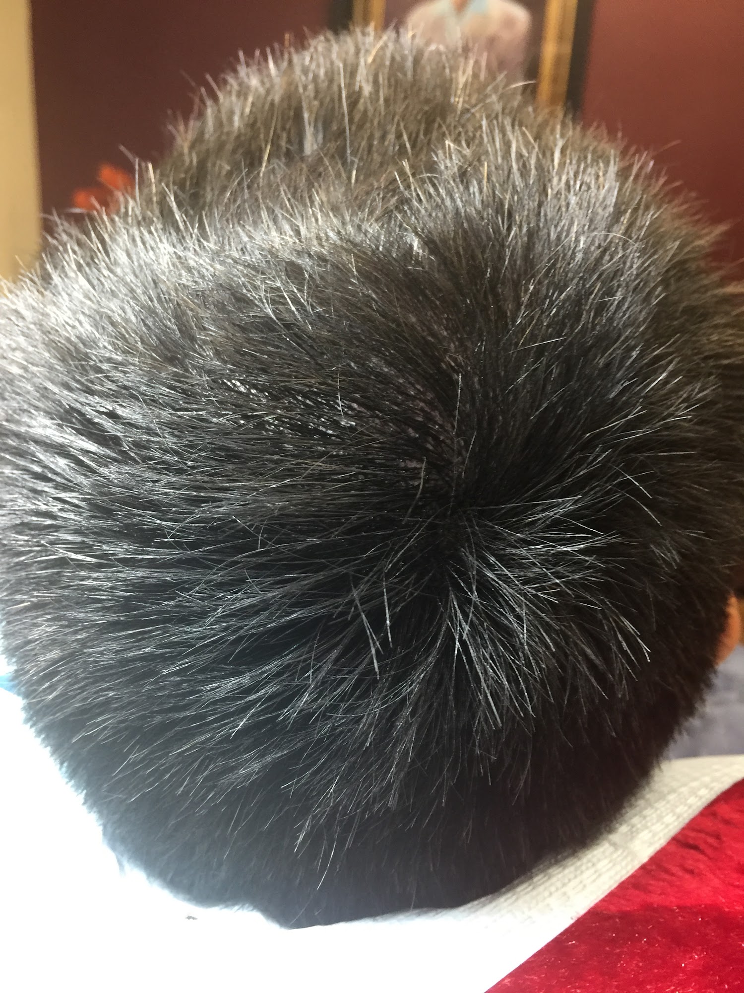 Semper Hair Clinic LLC 401 W Fallbrook Ave #107, Fresno California 93711