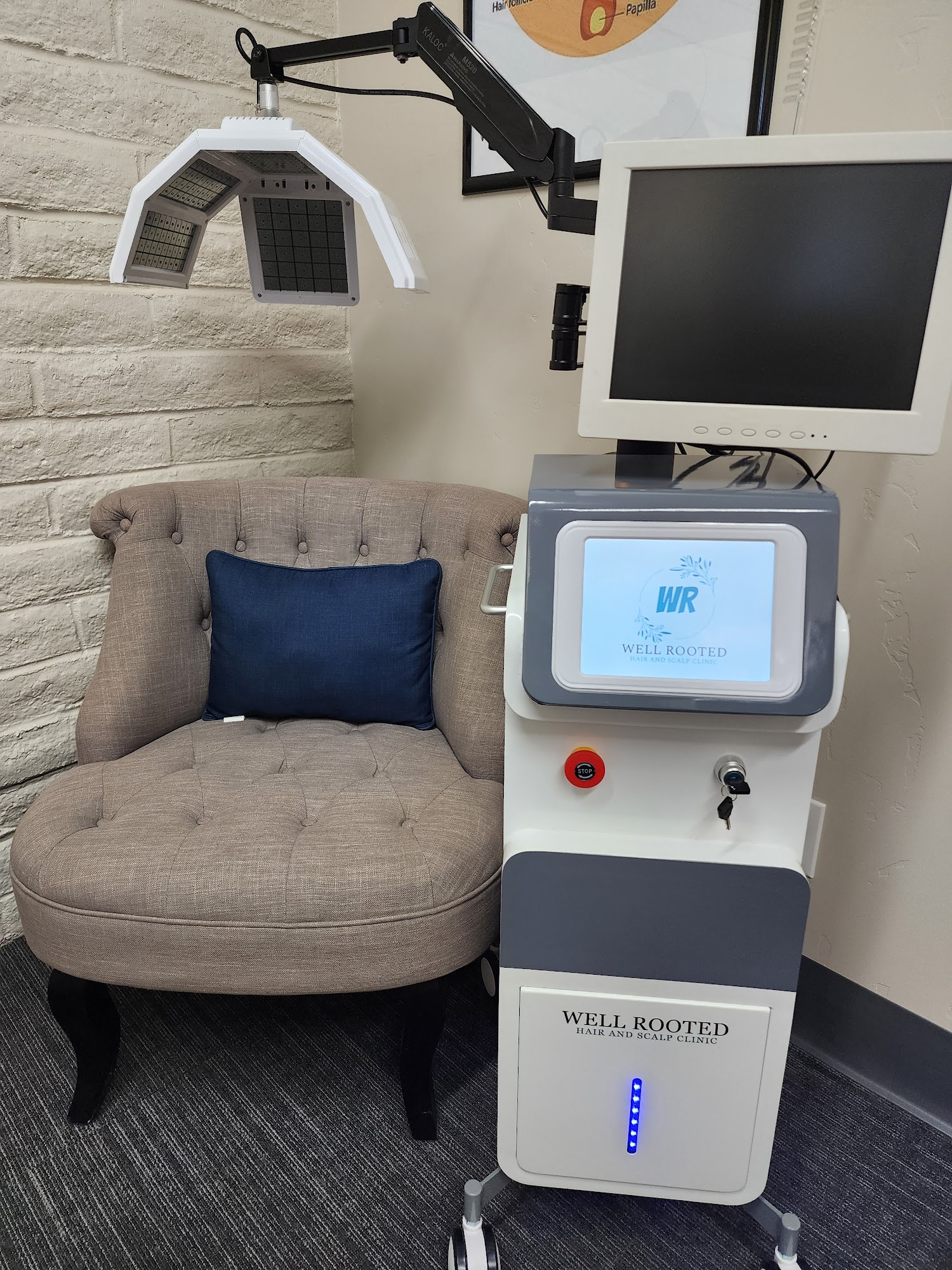 Well Rooted Hair And Scalp Clinic 5528 N Palm Ave # 104, Fresno California 93704