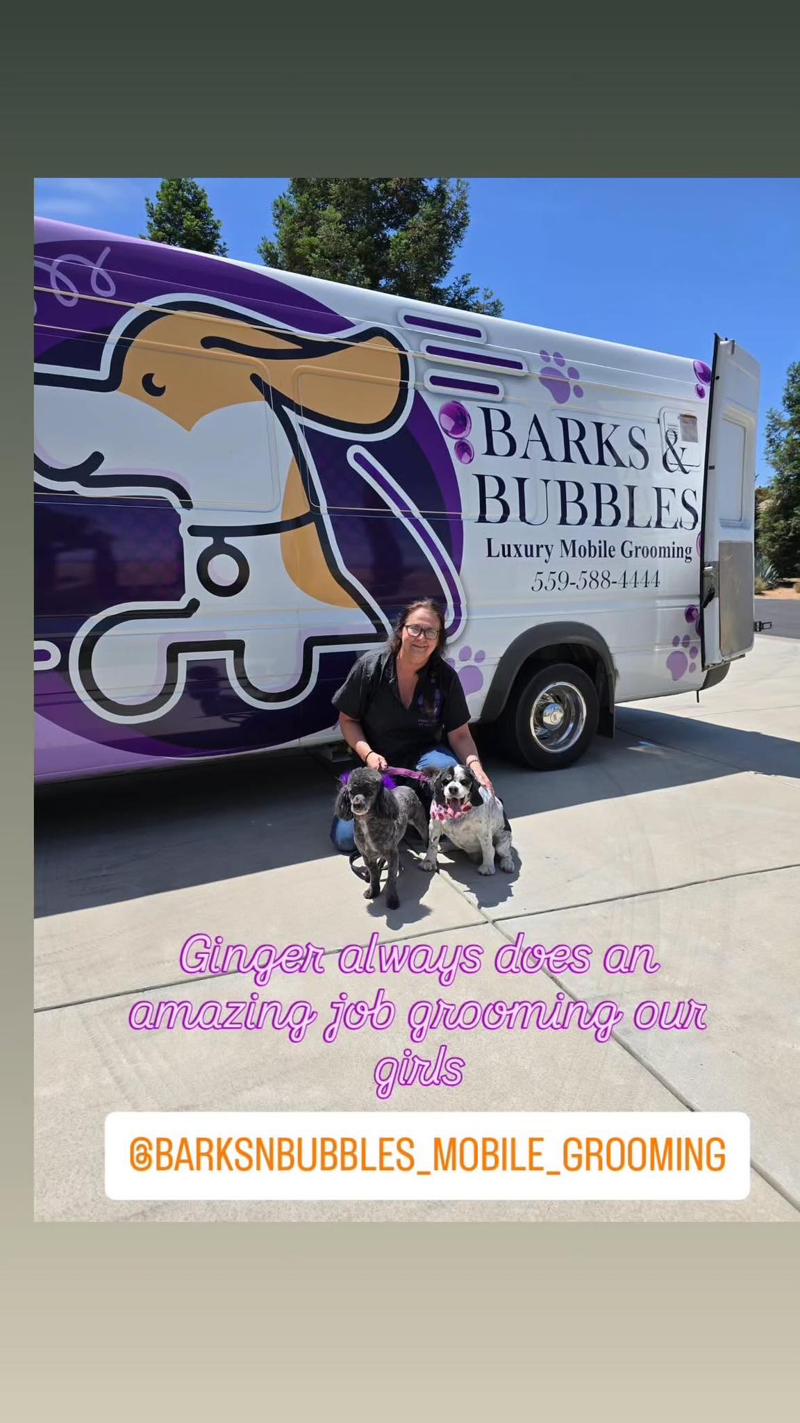 Barks & Bubbles Boutique & Spa Friant