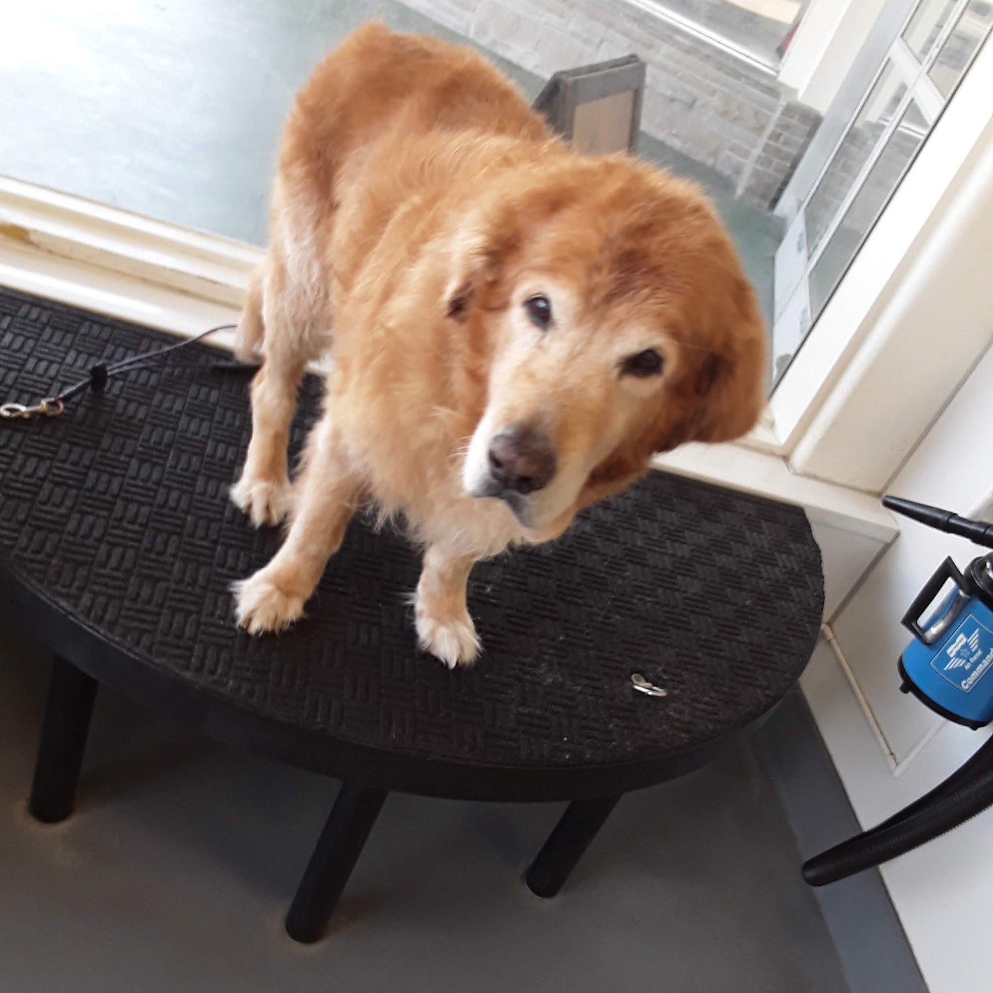 Centinela Feed & Pet Supplies Fullerton