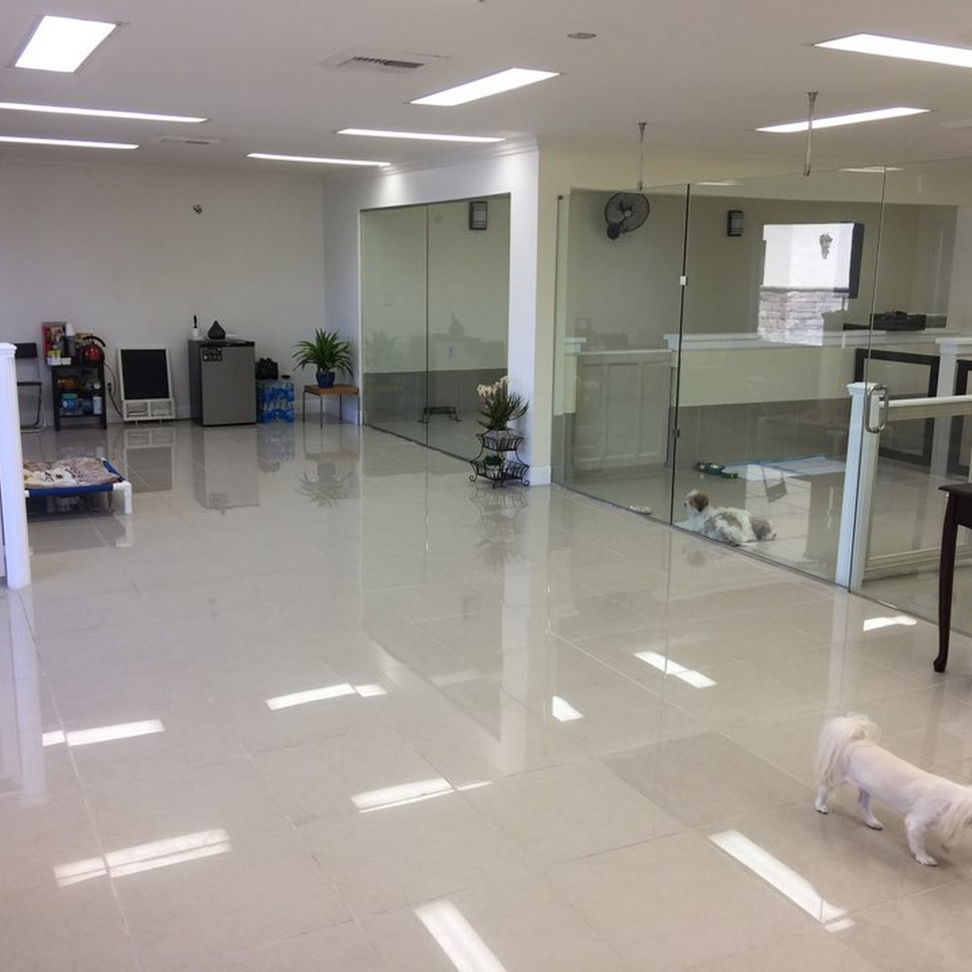 Doggi Dogi Pet Spa Fullerton