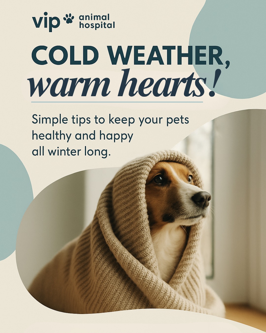 VIP Animal Hospital Fullerton