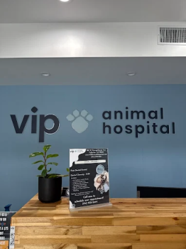 VIP Animal Hospital Fullerton