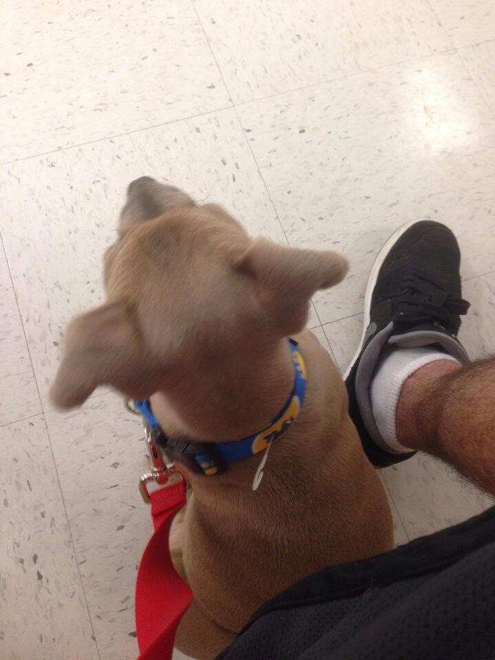 Photo credit: nextdoor