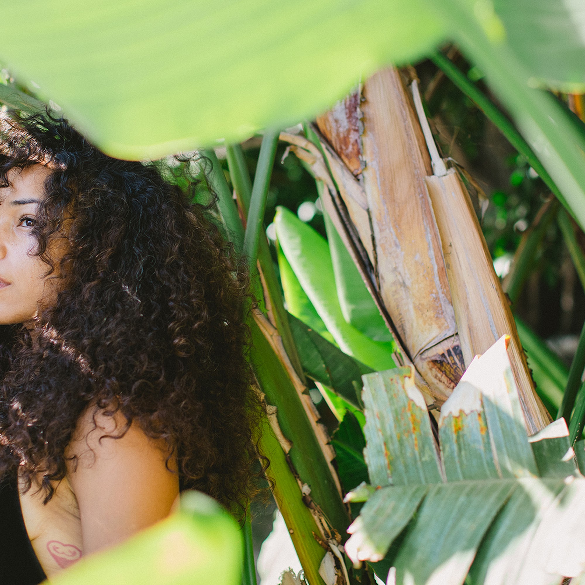 Curly Hair Salon - Fullerton
