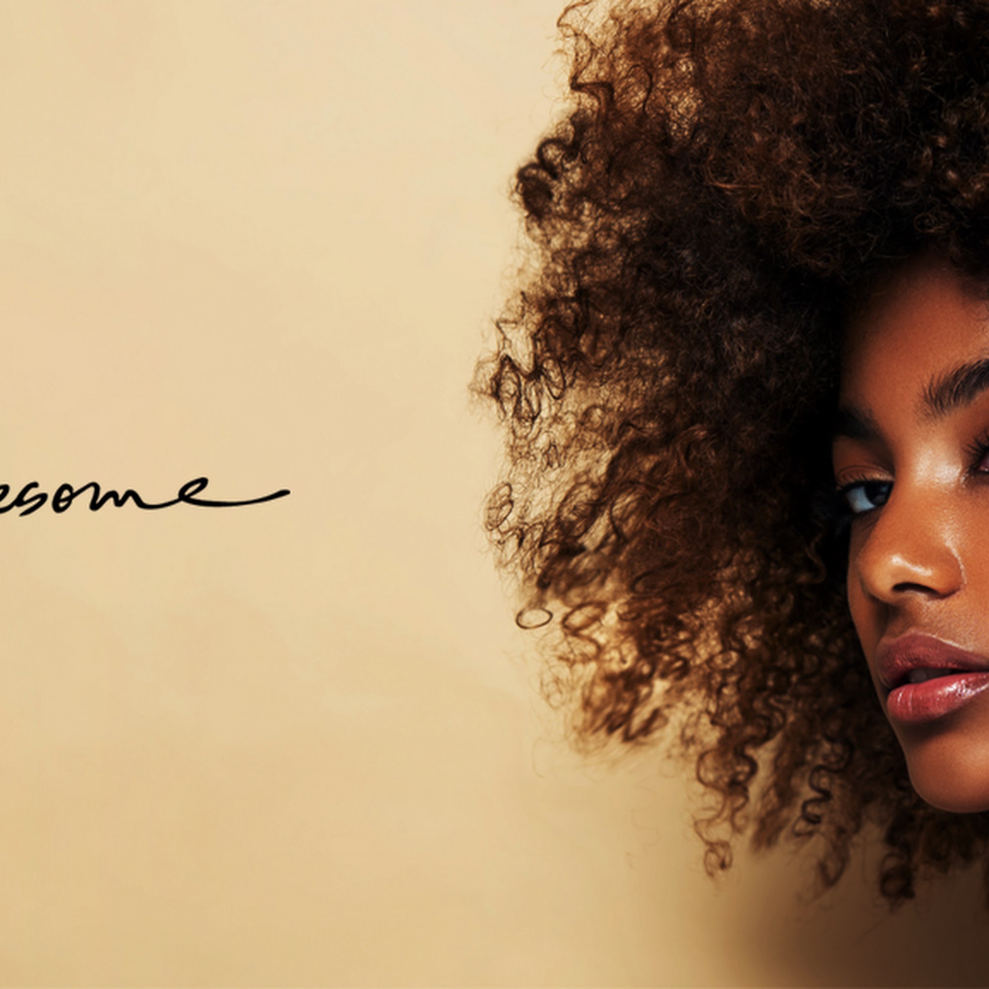 Aga Product Inc Fullerton