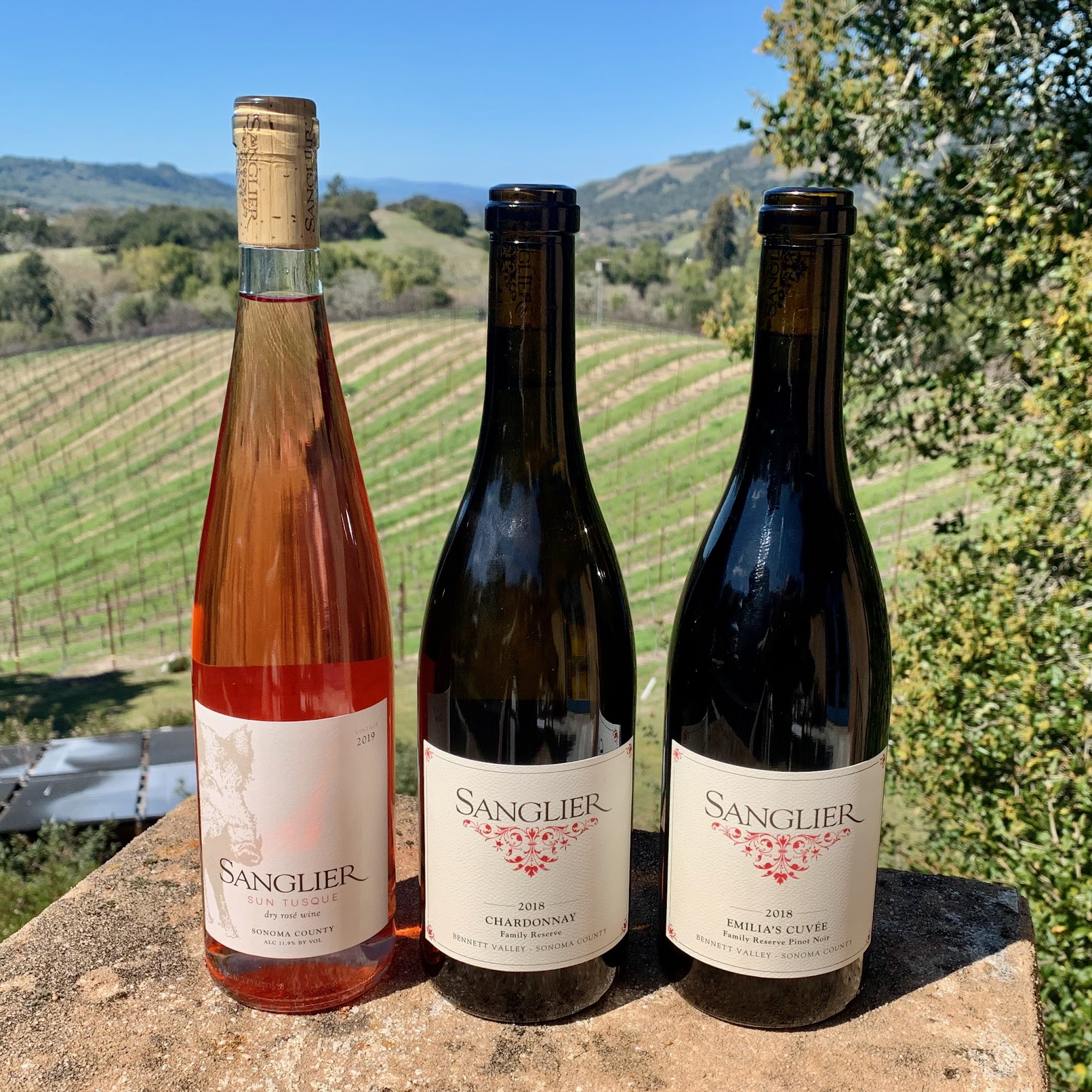 Sanglier Cellars Tasting and Tours Fulton