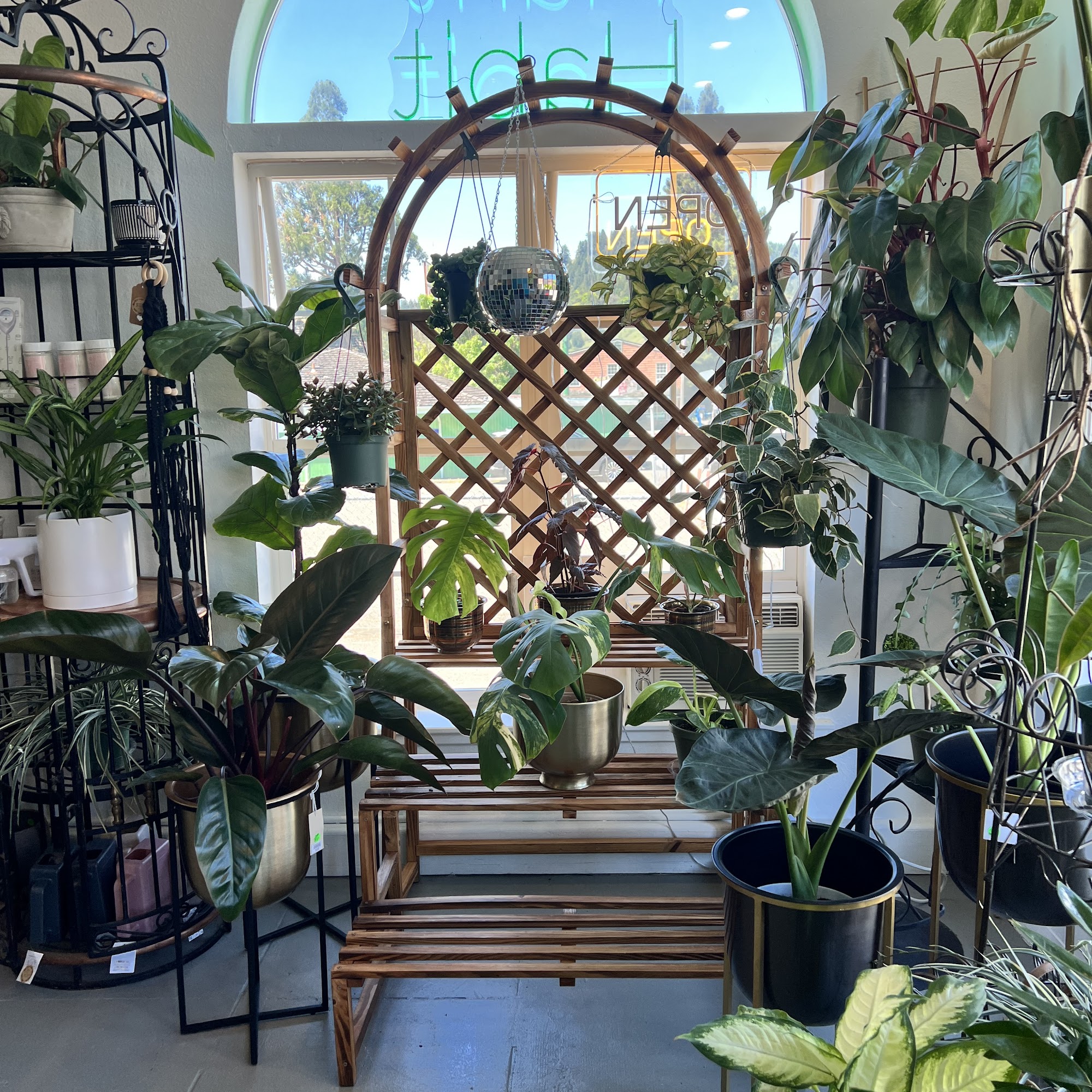 Plant Habit Home + Body Garberville