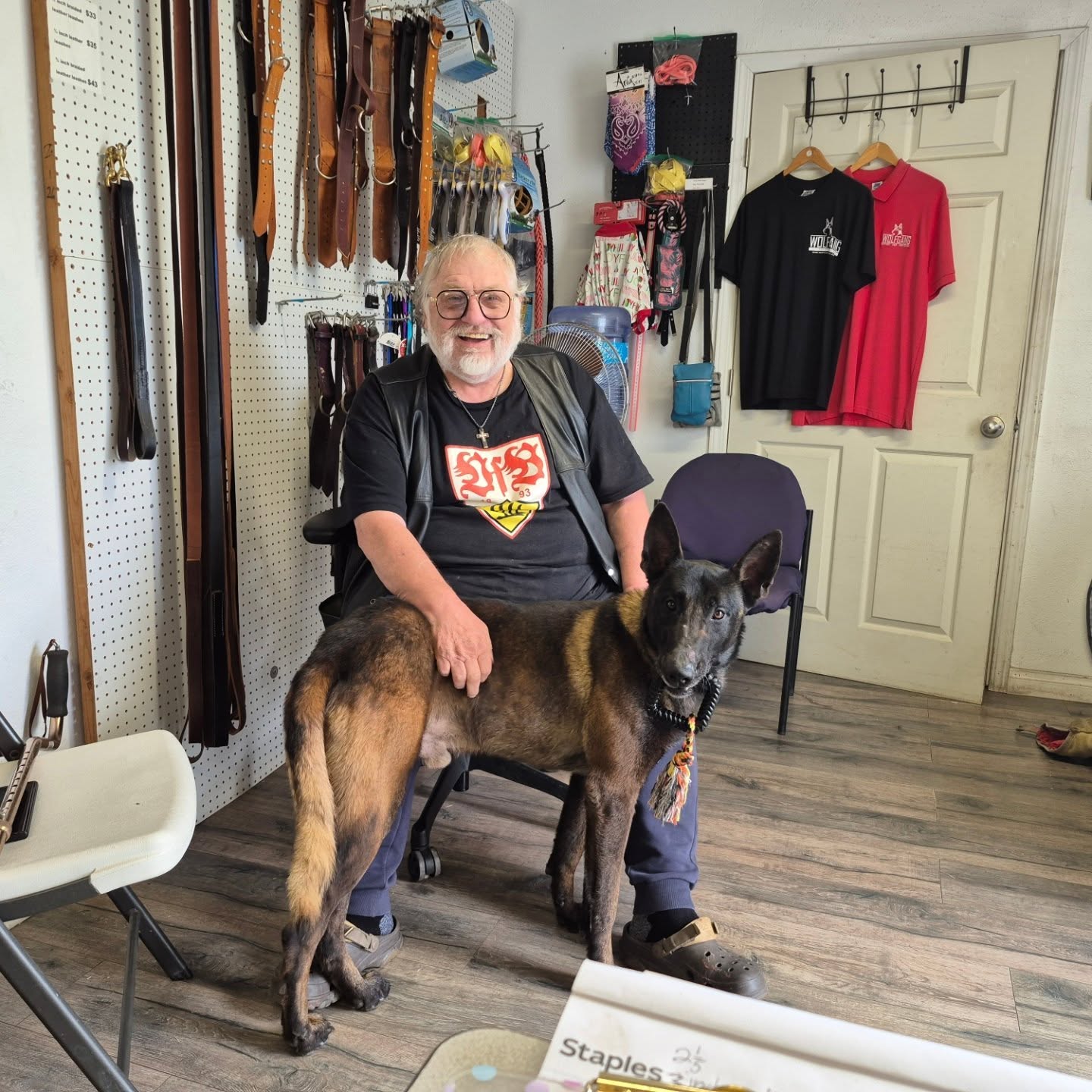 Wolfgang Expert Dog Training Gardena