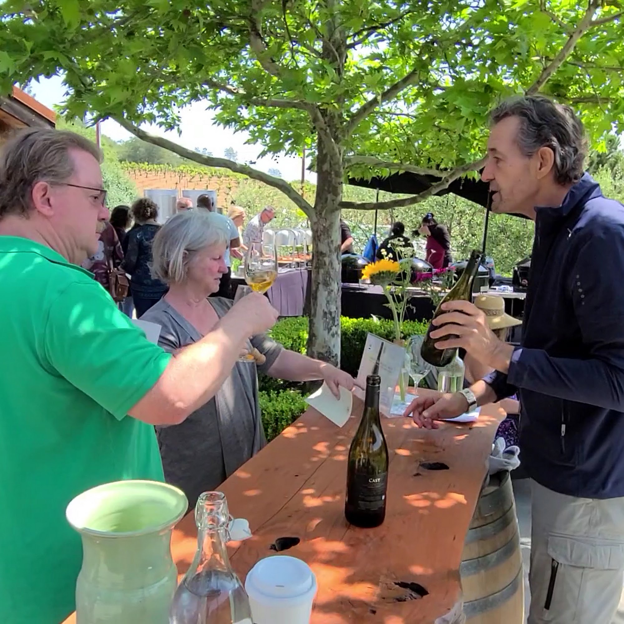 Cast Wines Geyserville