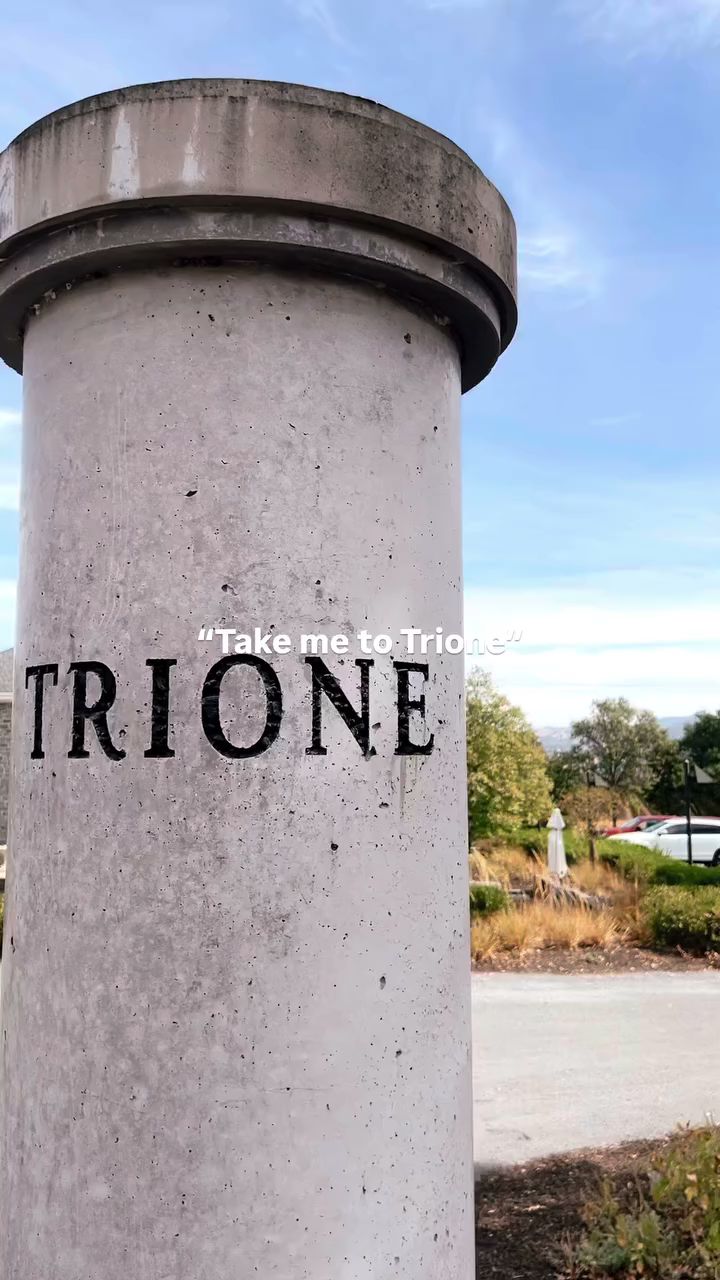 Trione Vineyards and Winery Geyserville