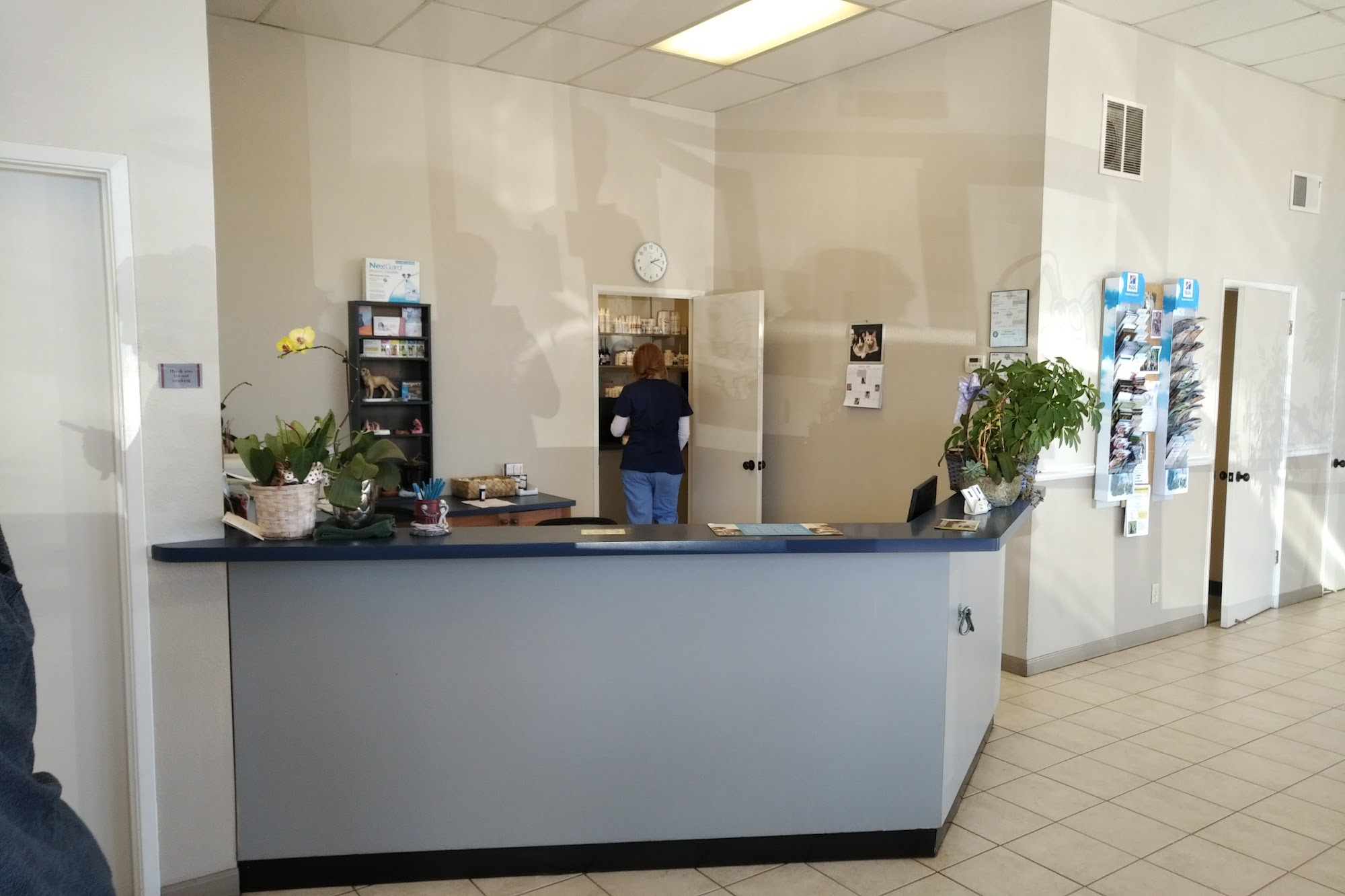 Orchard Veterinary Hospital Gilroy