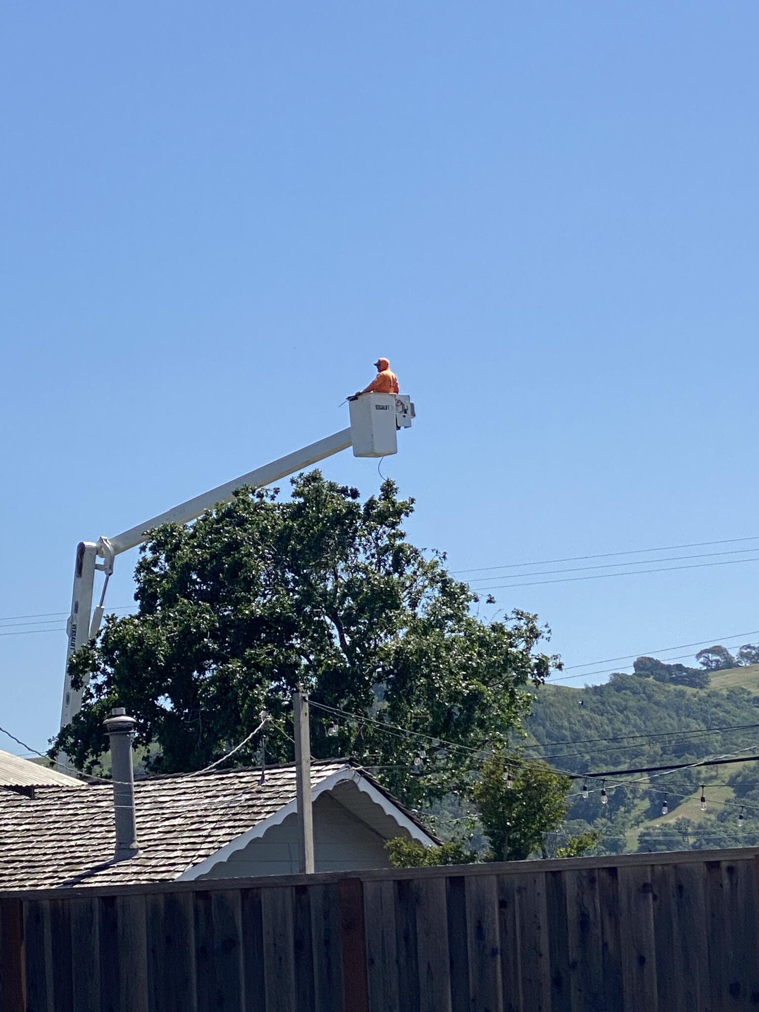 Photo credit: nextdoor