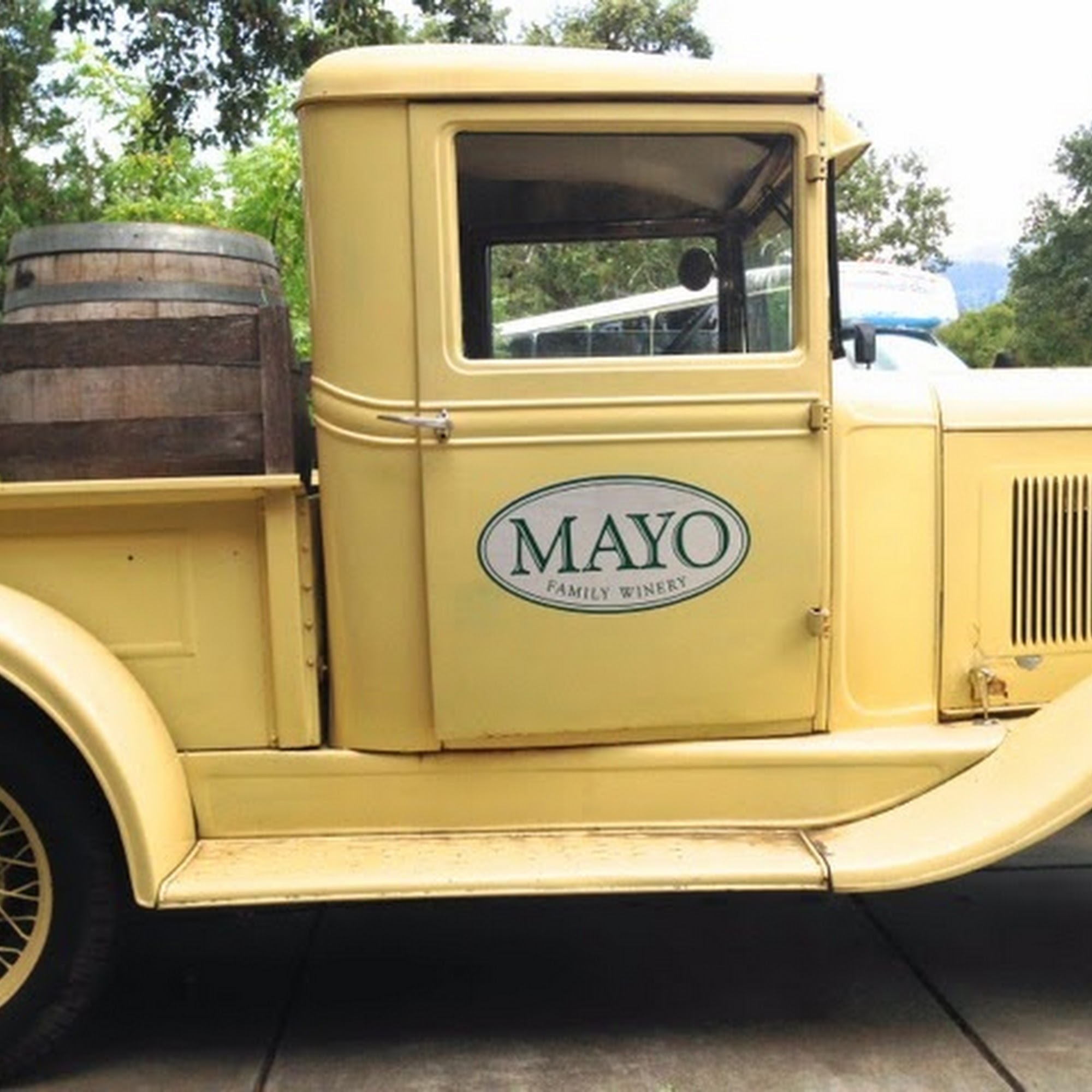 Mayo Family Winery Glen Ellen