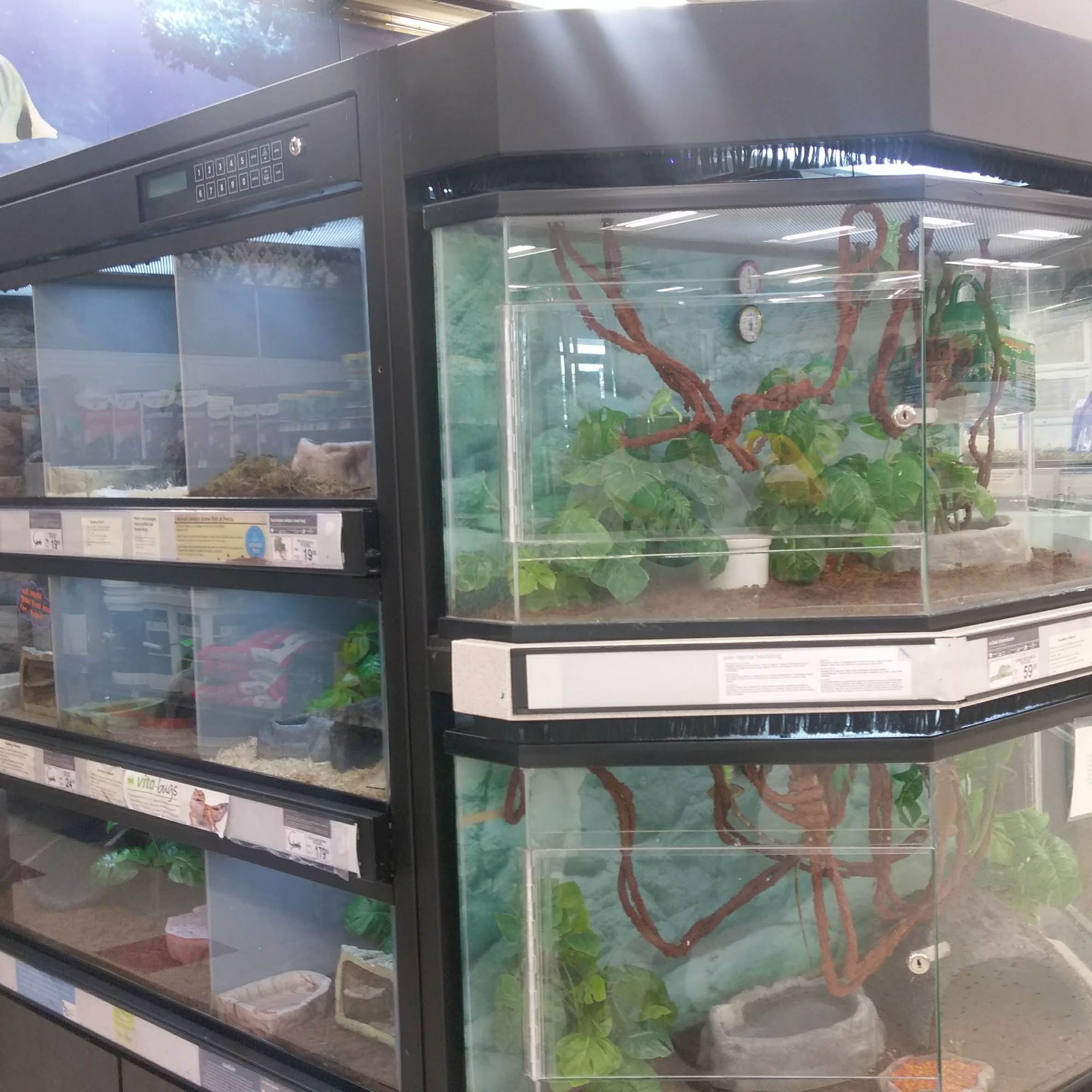 Petco Glendale