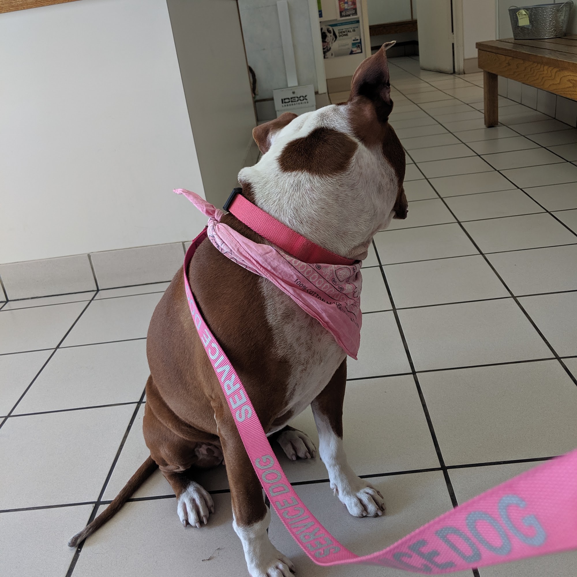 Hillcrest Pet Hospital Glendale