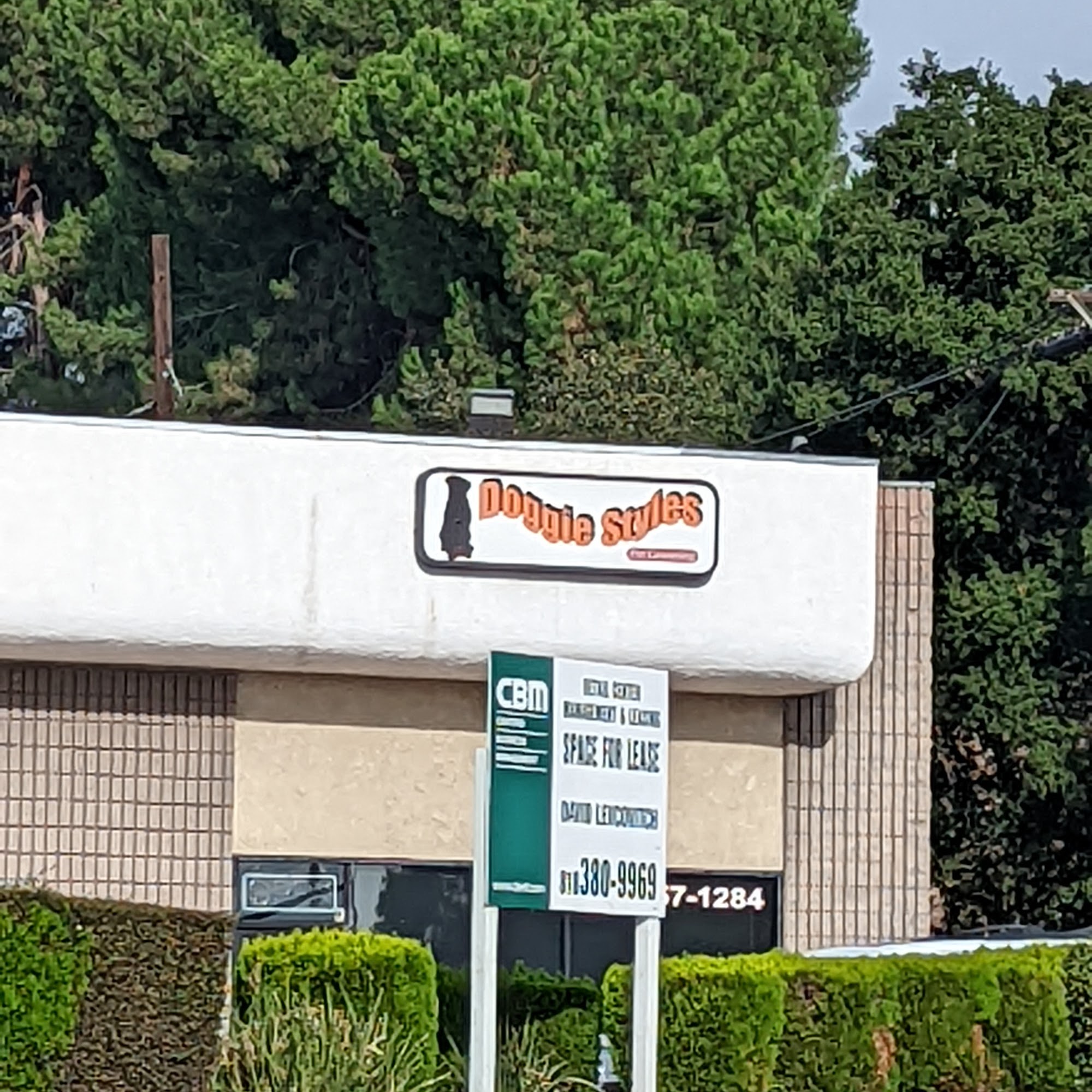 Doggie Styles Glendale