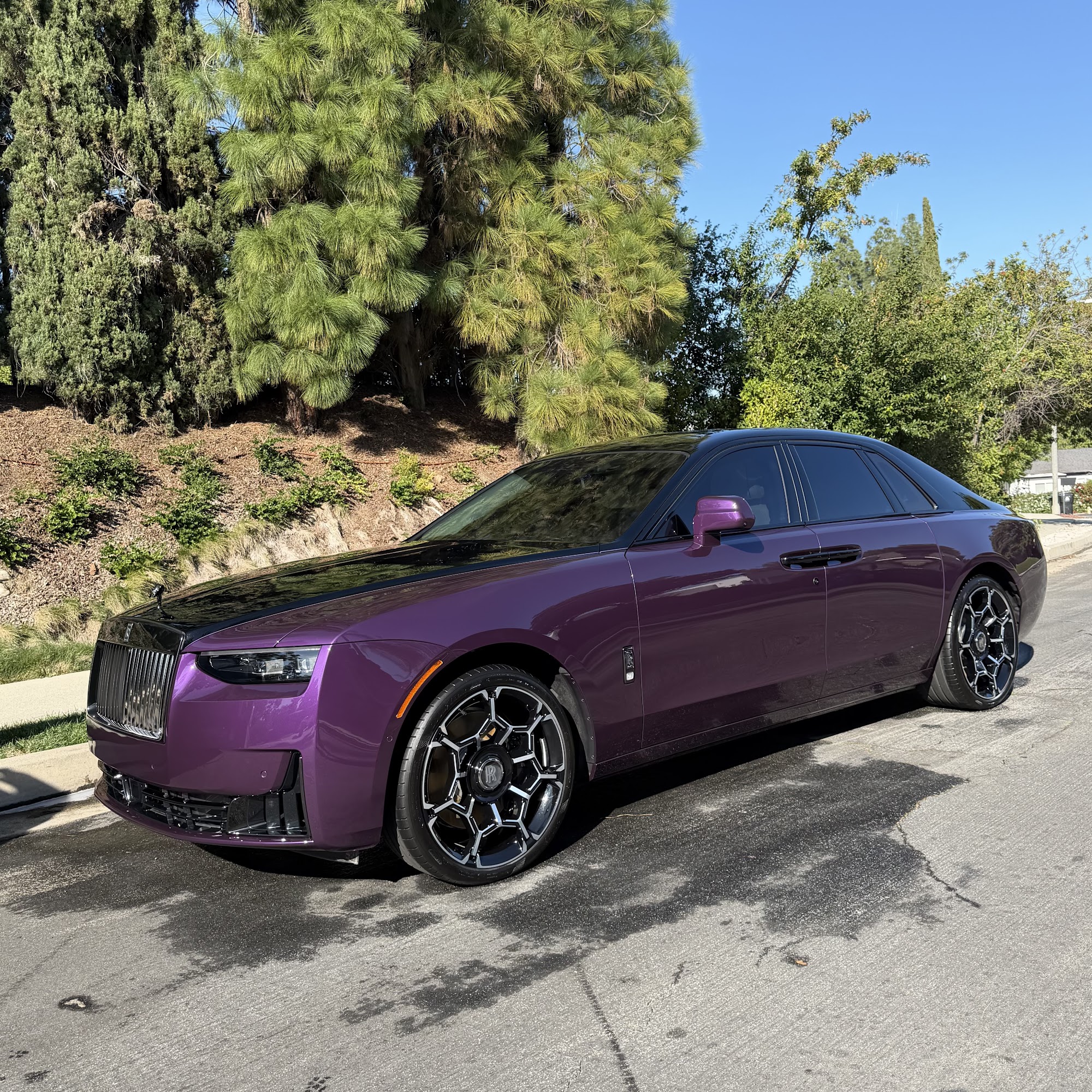 Dynamic Mobile Detail