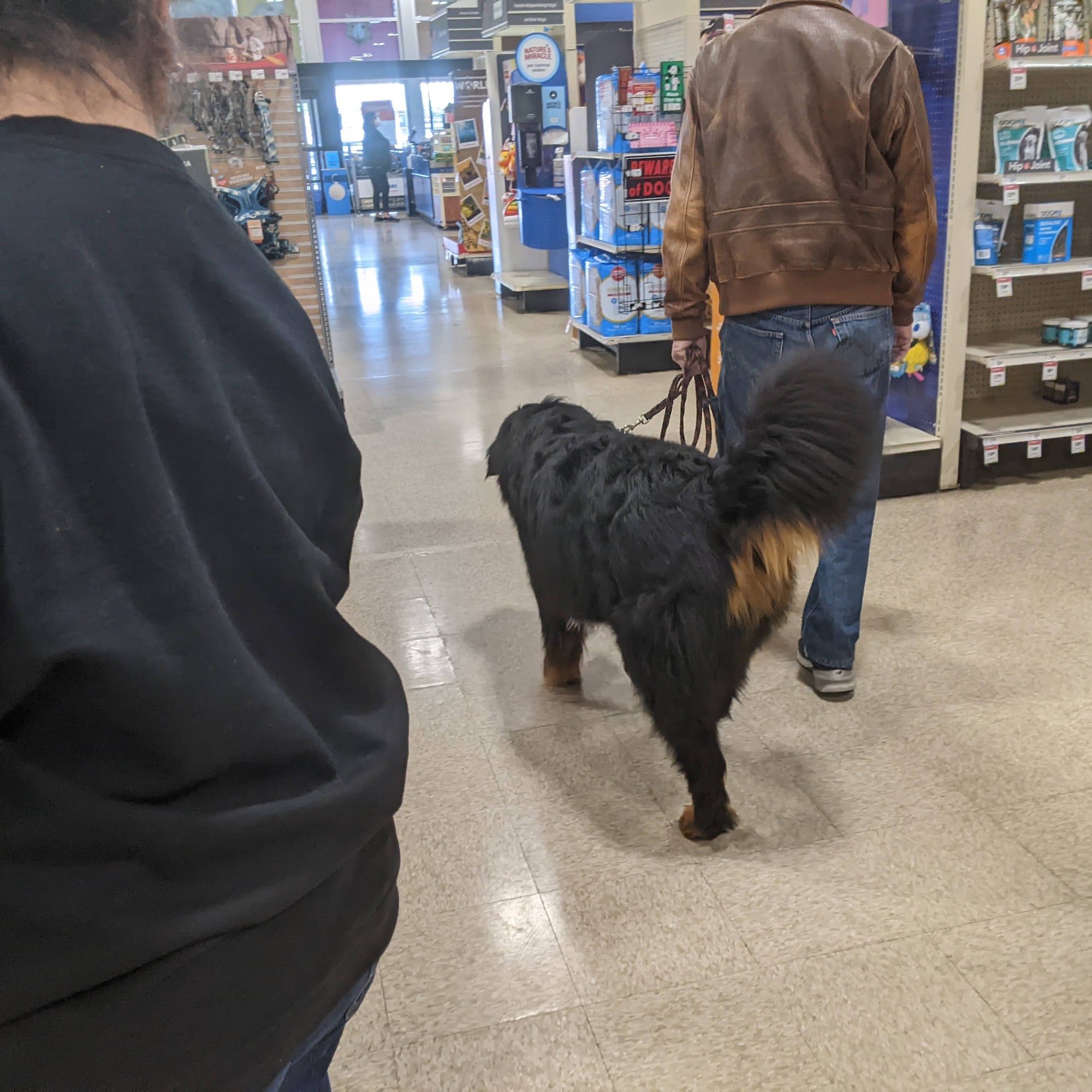PetSmart Glendora