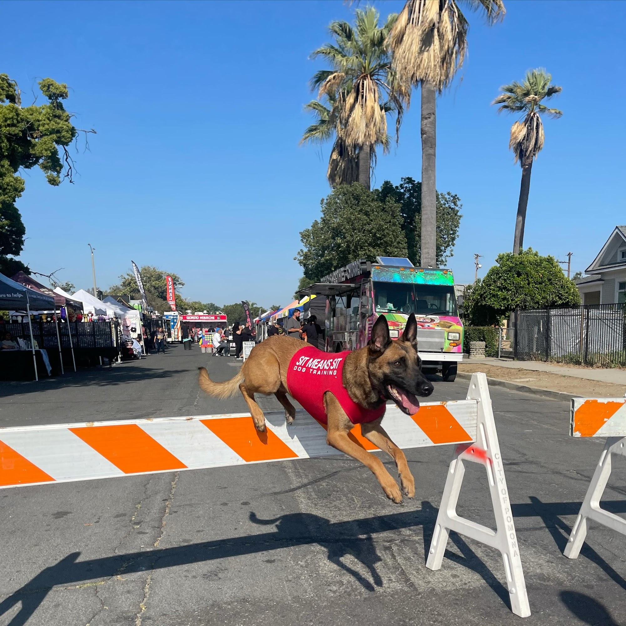 Sit Means Sit San Gabriel Valley Glendora