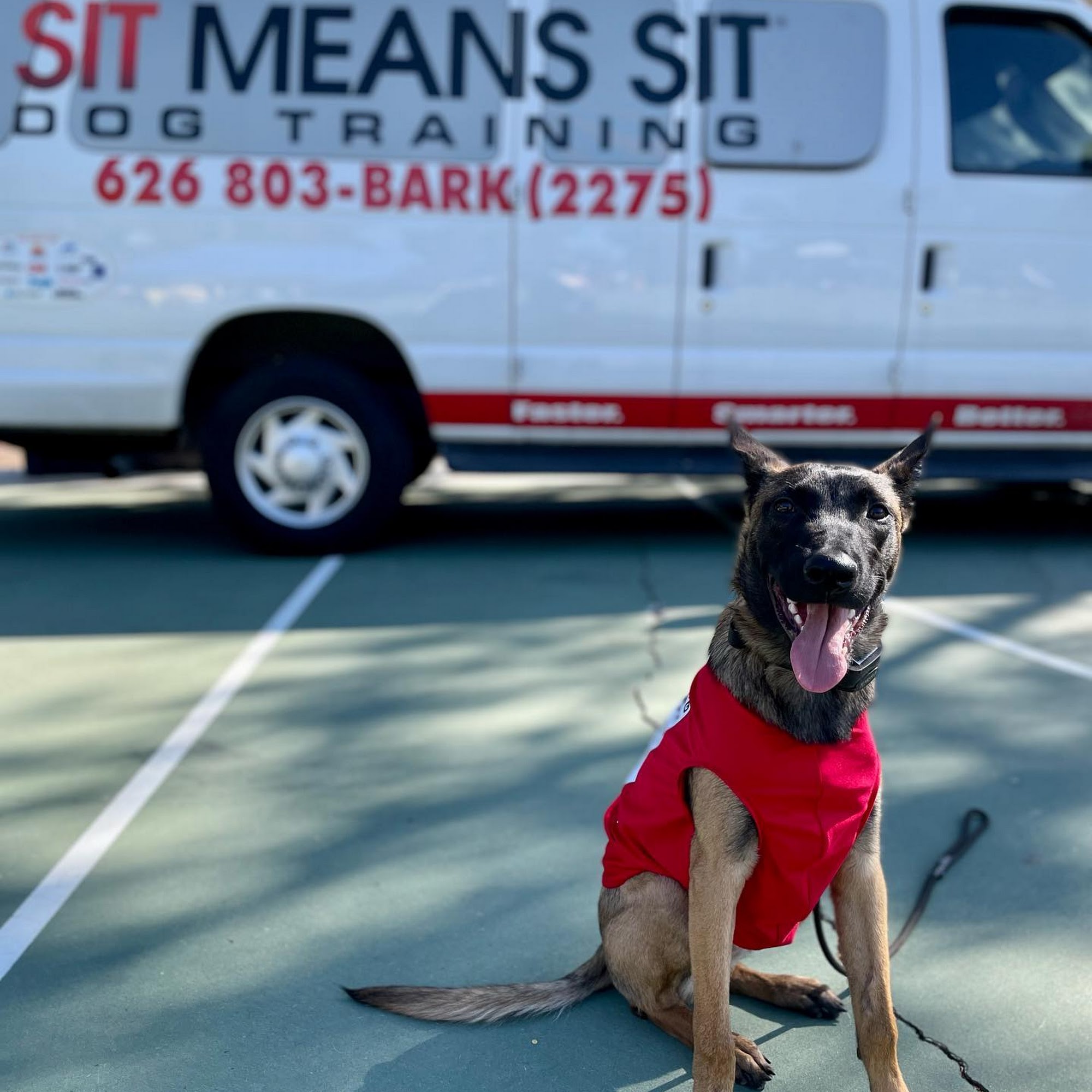 Sit Means Sit San Gabriel Valley Glendora