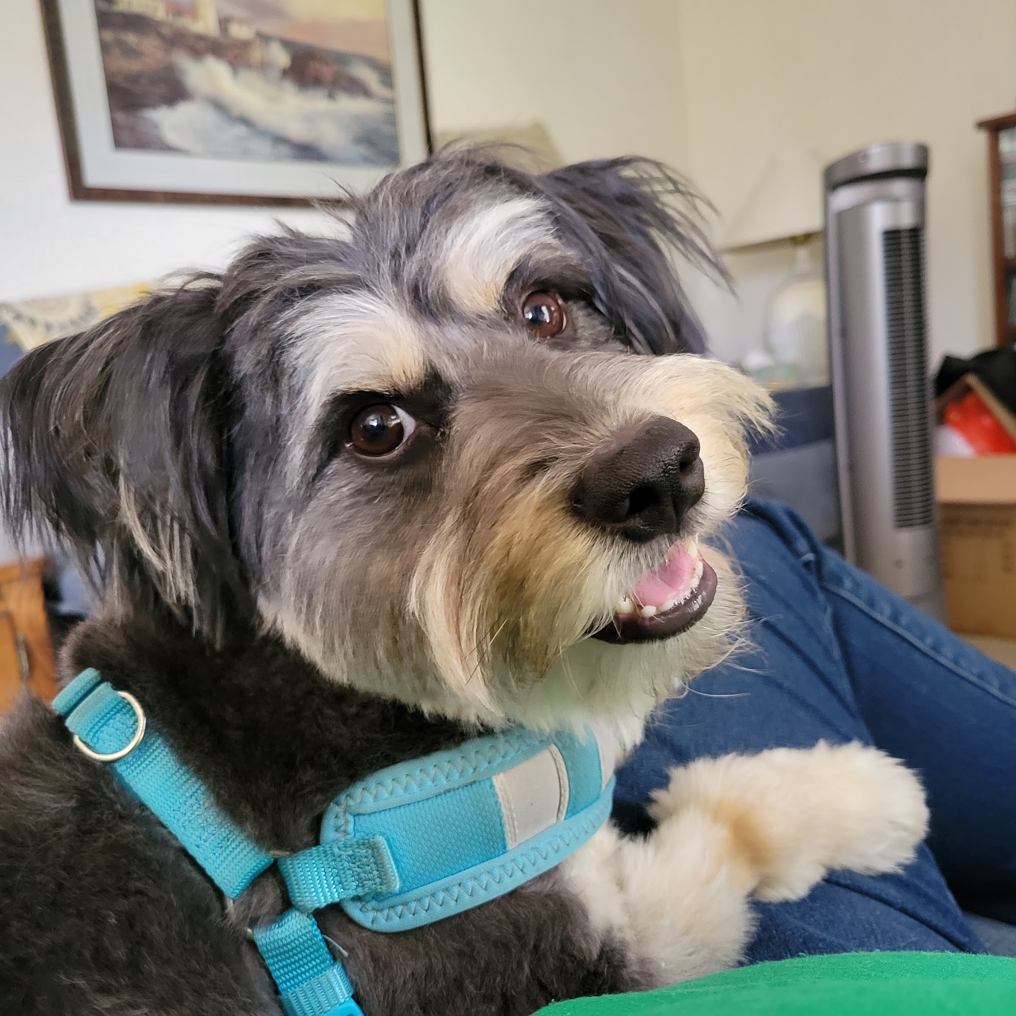 A Touch of Velvet Glendora