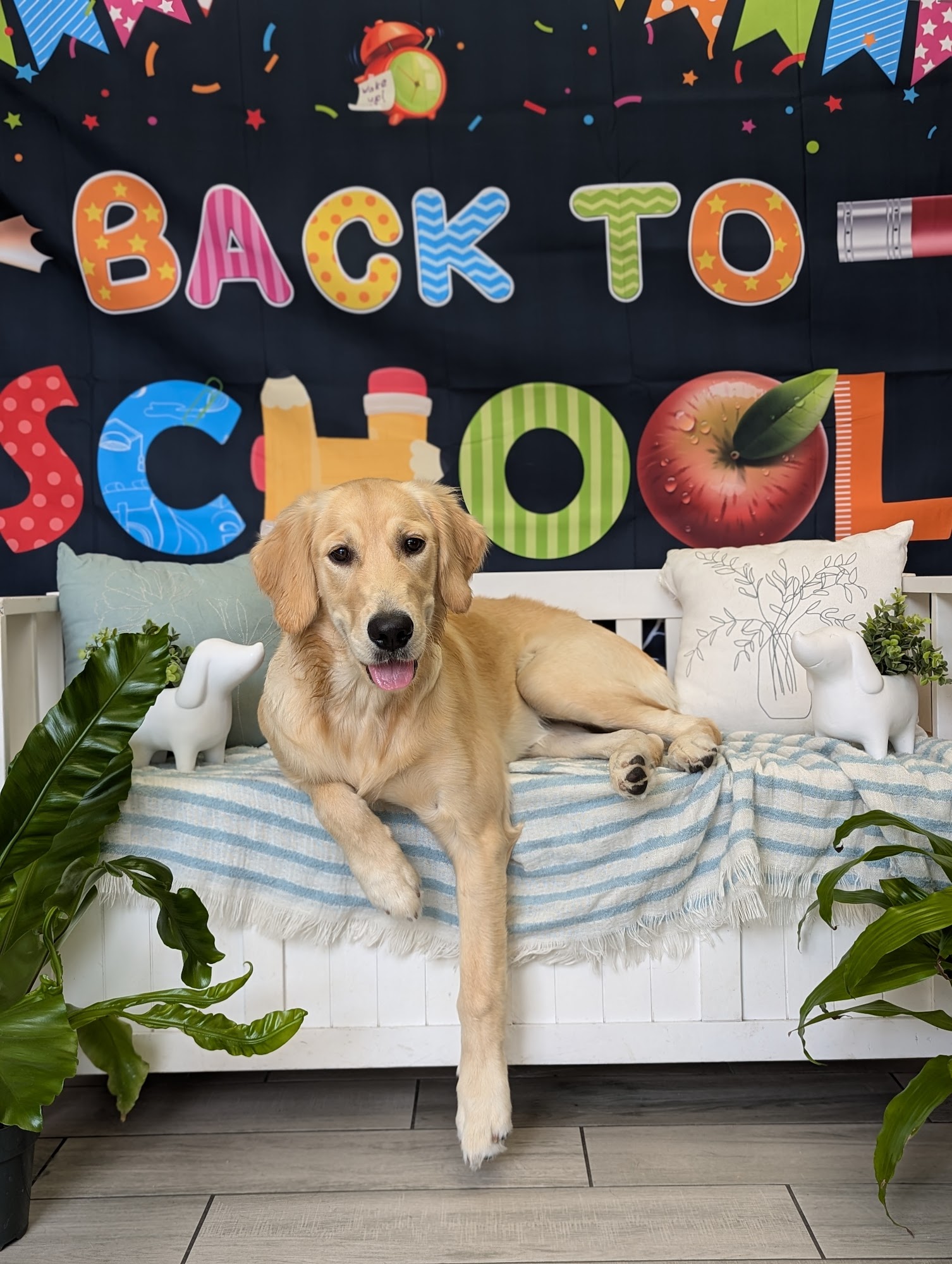 Pack Pawsitive Glendora