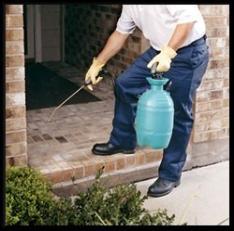 Mercury Termite & Pest Control 1325 E Rte 66, Glendora California 91740