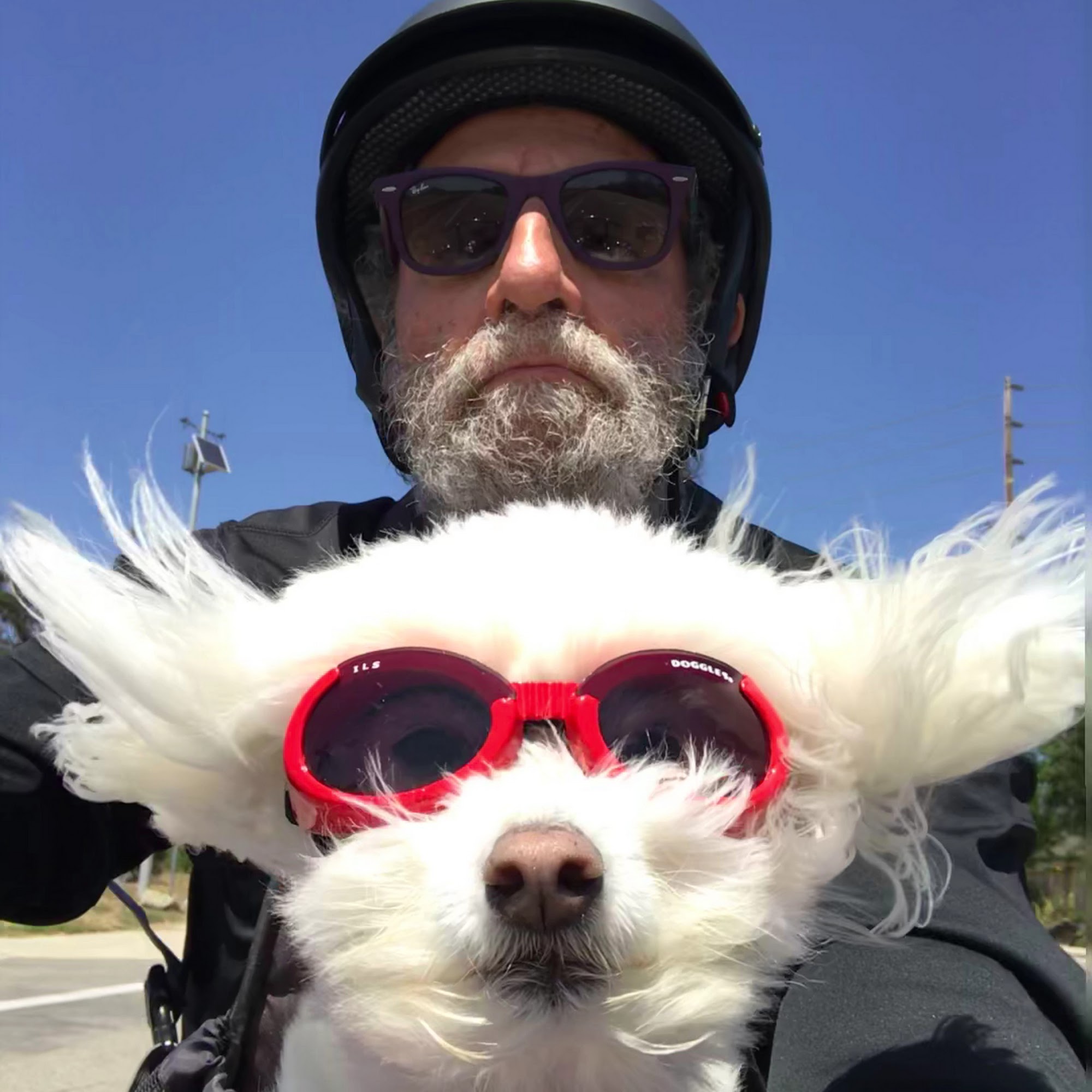 The Goodland Pet Hospital - La Concepcion Goleta