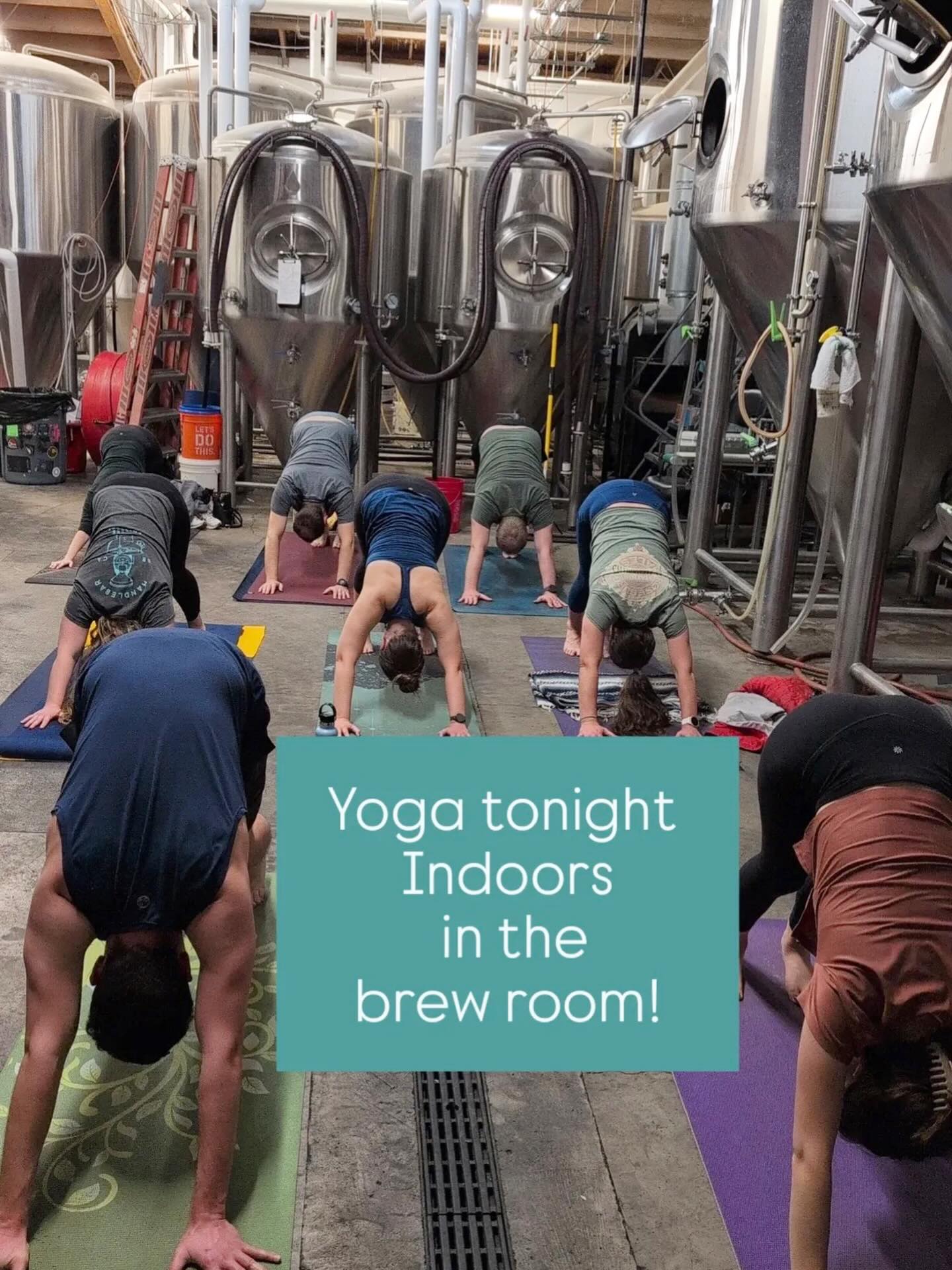 Captain Fatty's Brewery Goleta