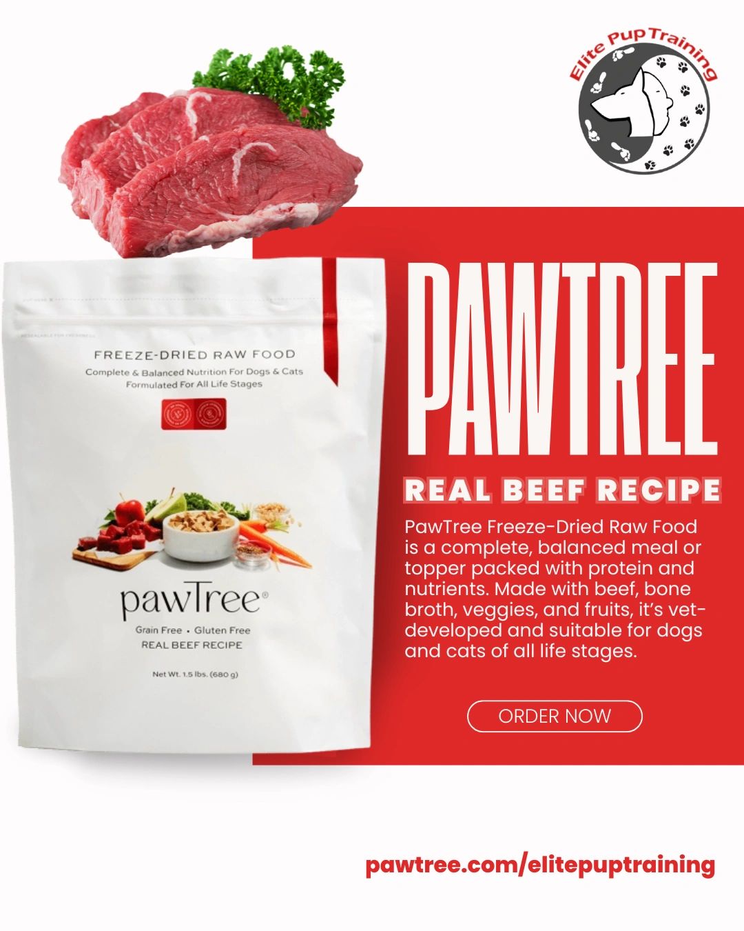 Elite Pup Training Goleta