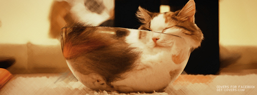 Vaccinations, Spay and Neuter Clinic