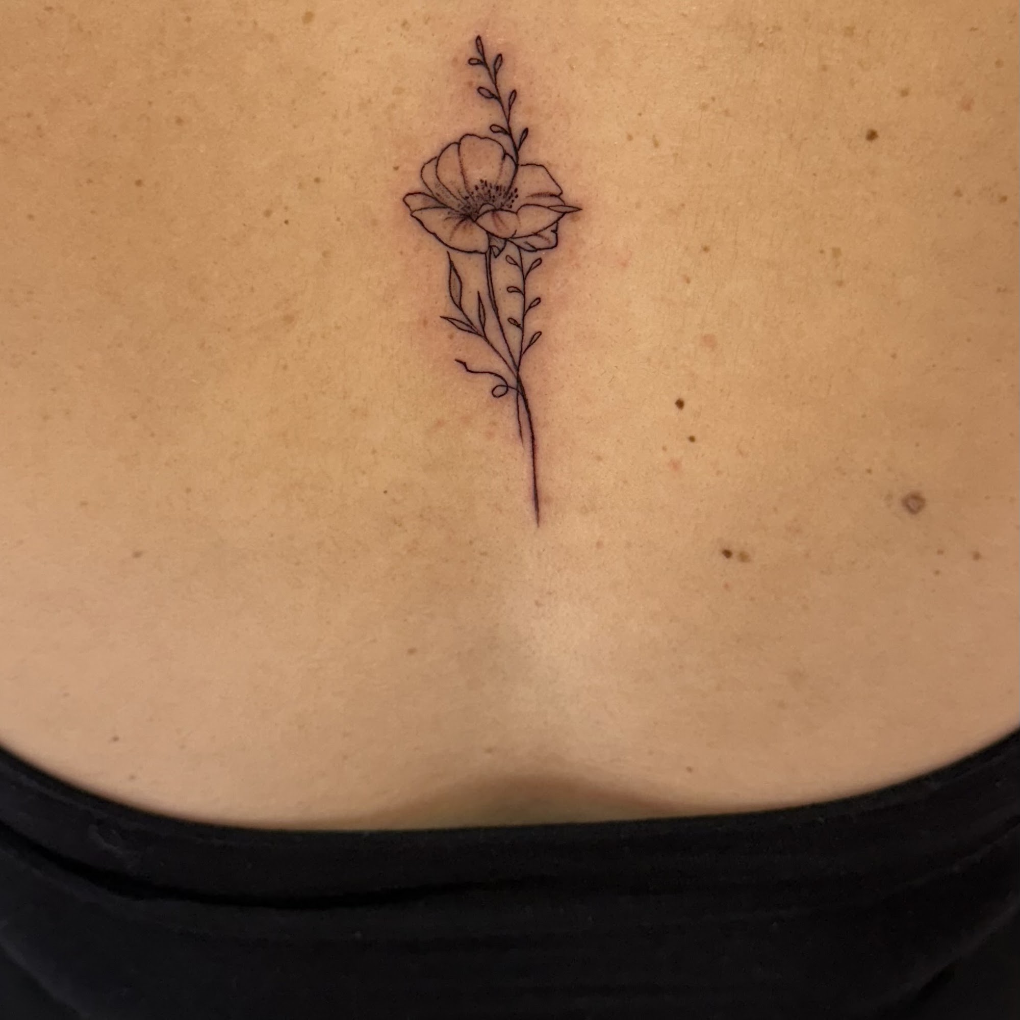 SUWI Beauty 17649 Chatsworth St, Granada Hills California 91344