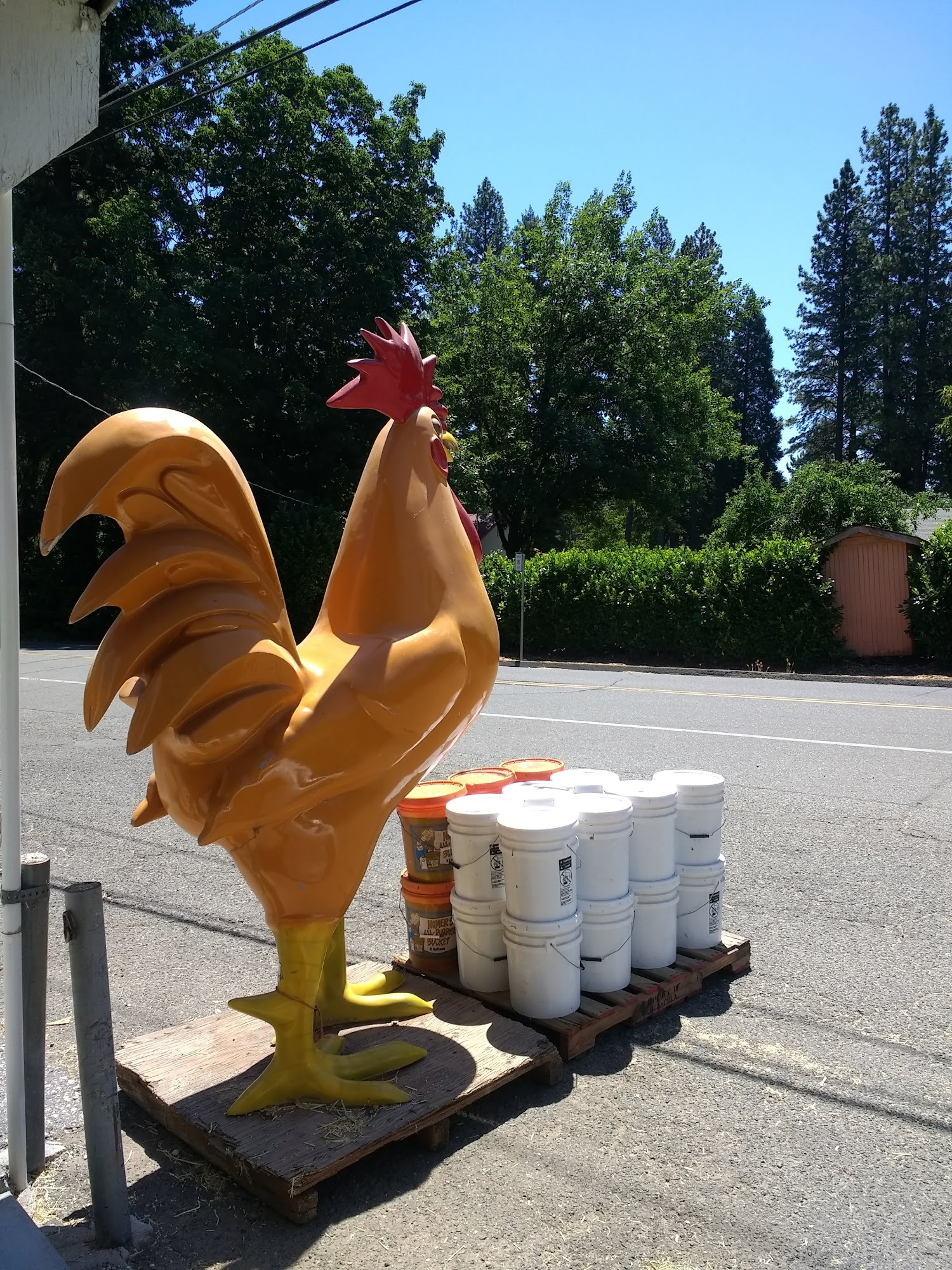 Simply Country Feed & Supply Grass Valley