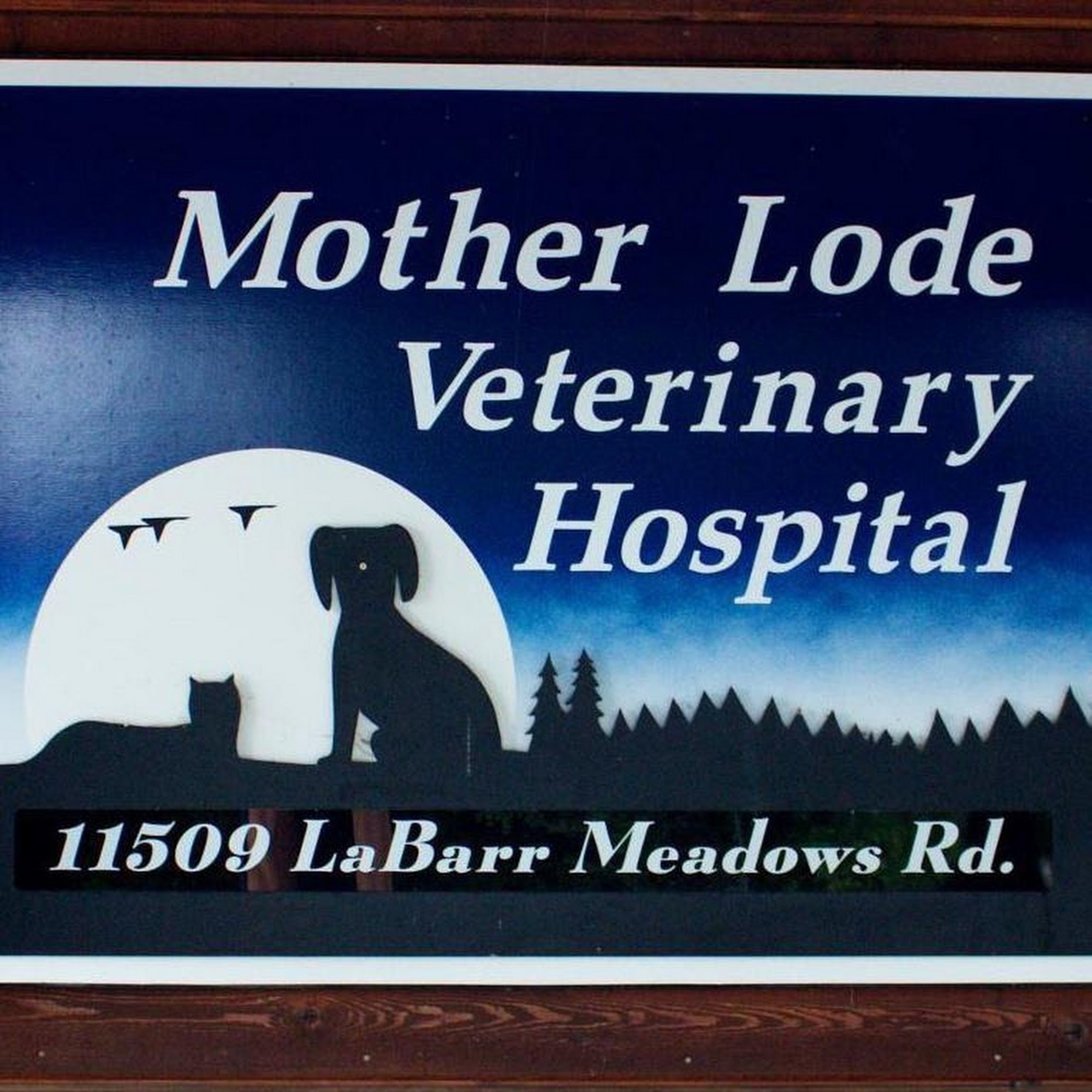 Mother Lode Veterinary Hospital Grass Valley