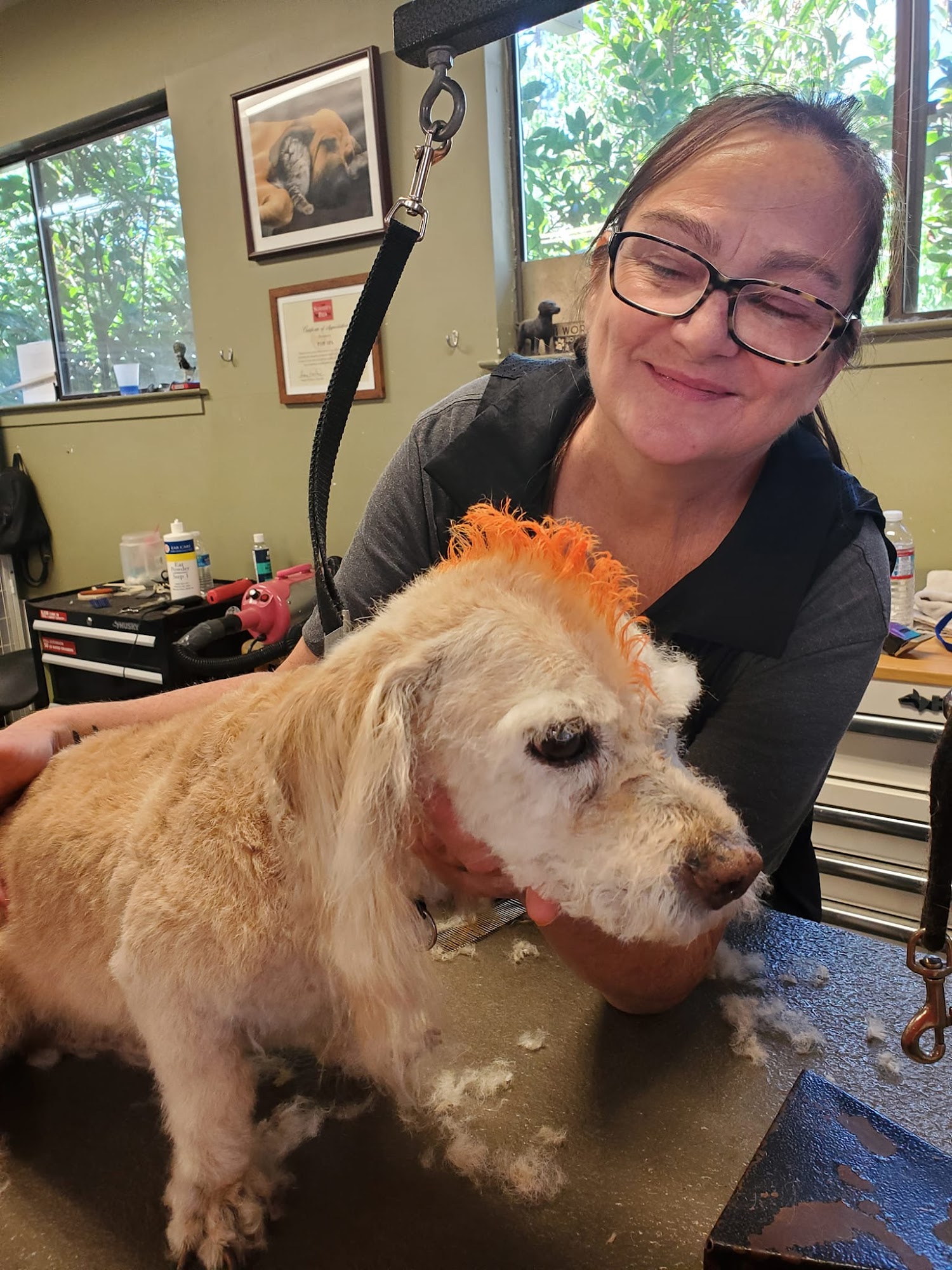 Paw Spa Grass Valley