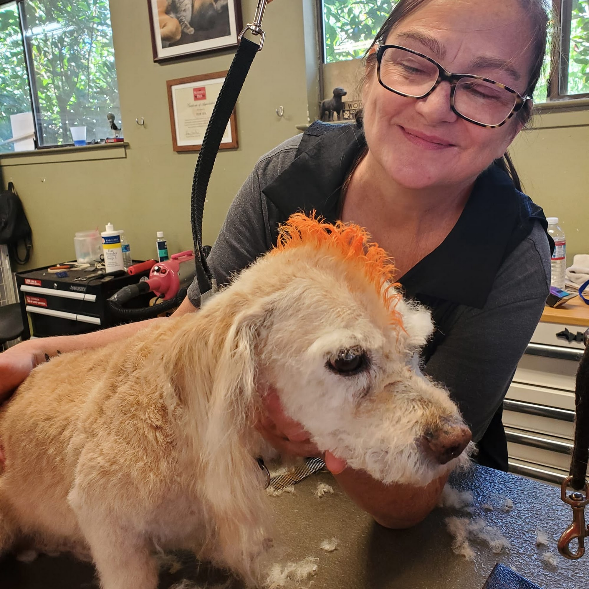 Paw Spa Grass Valley